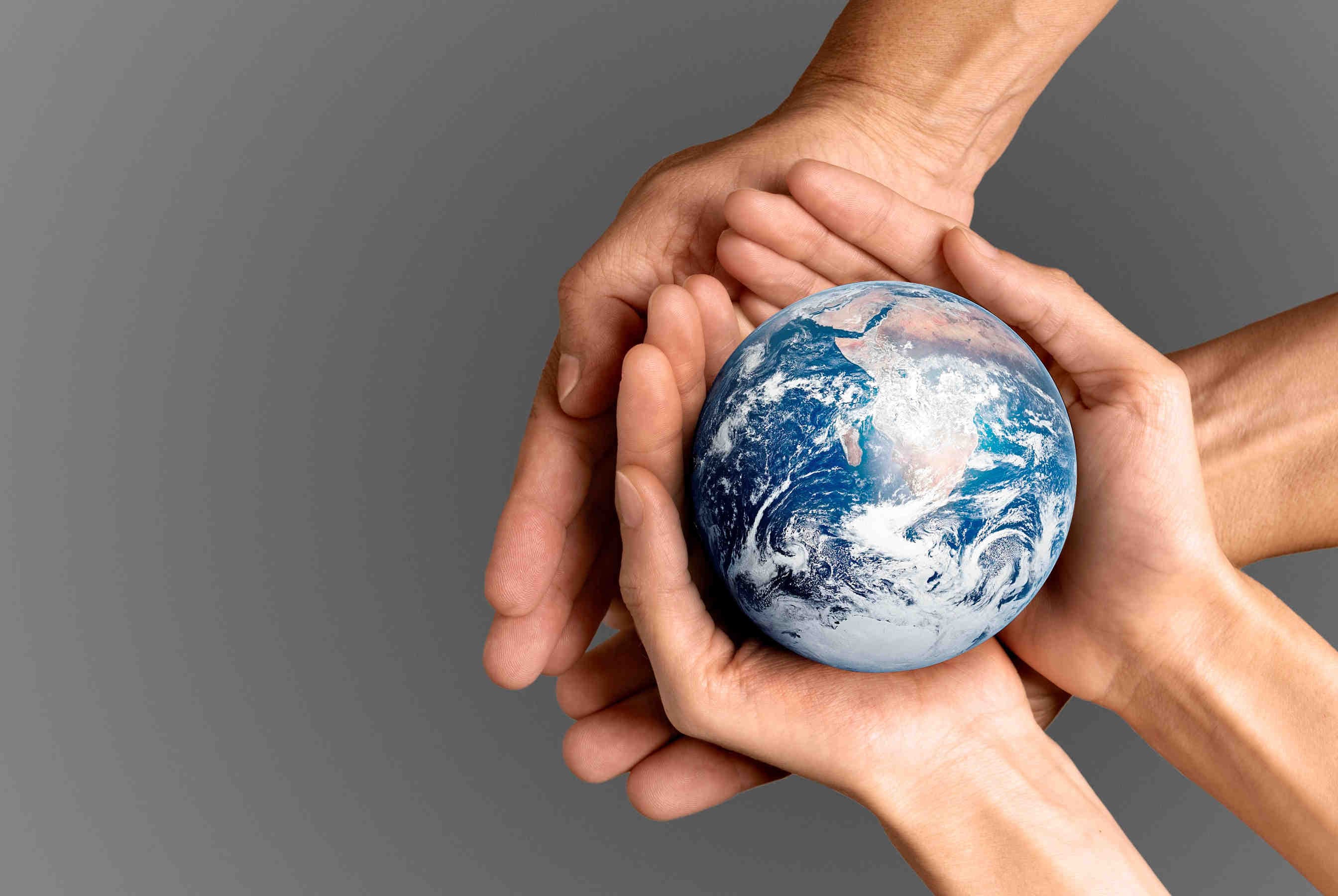 Società Benefit e B Corp: punti in comune e differenze