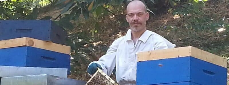 Beekeeping Pilotti