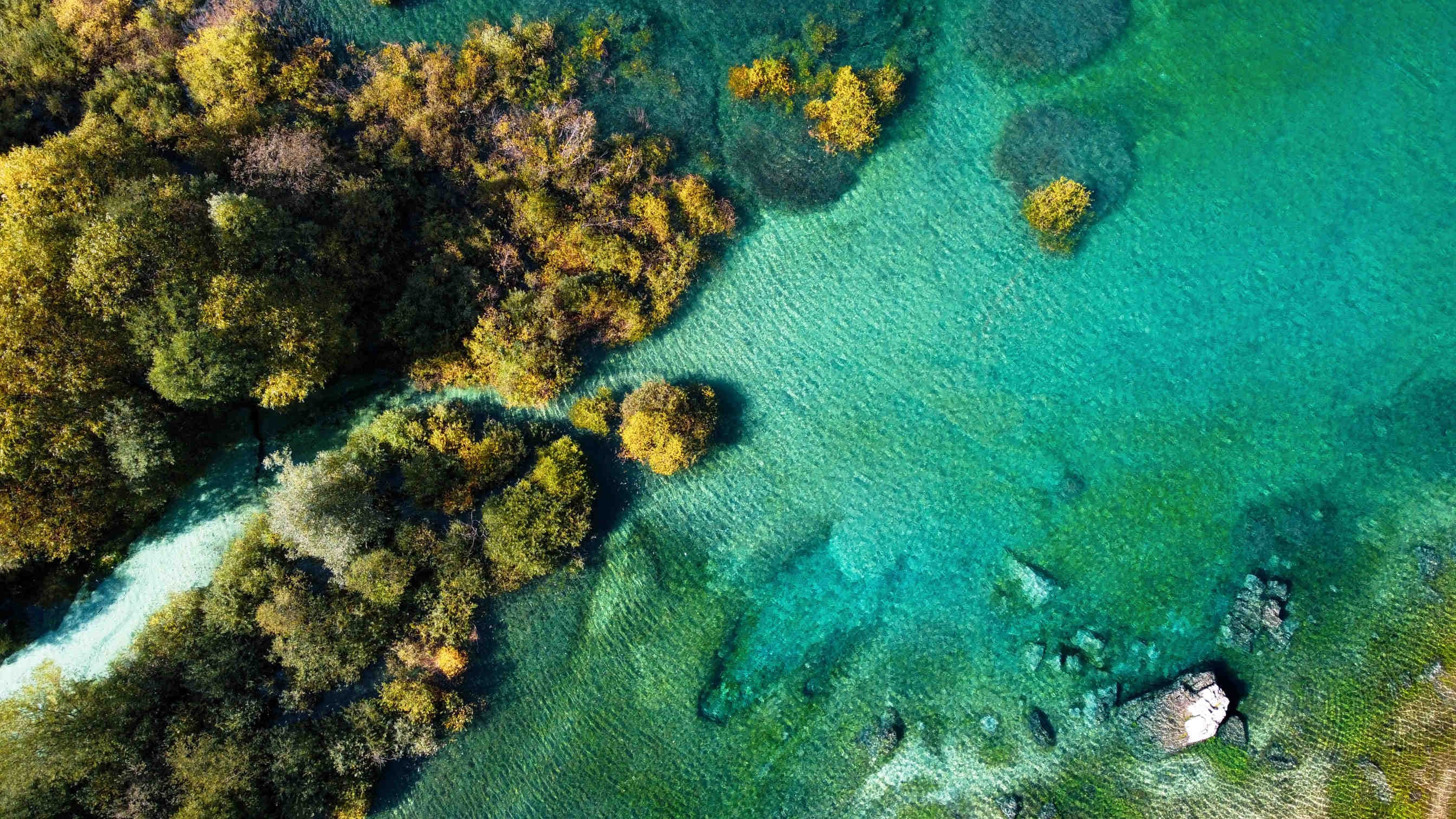 Der blaue Planet wird grün: Klima und Ozeane