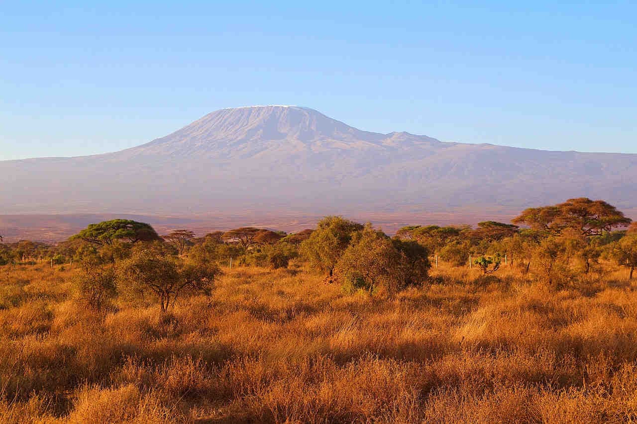 ecosistemi erbosi, le savane