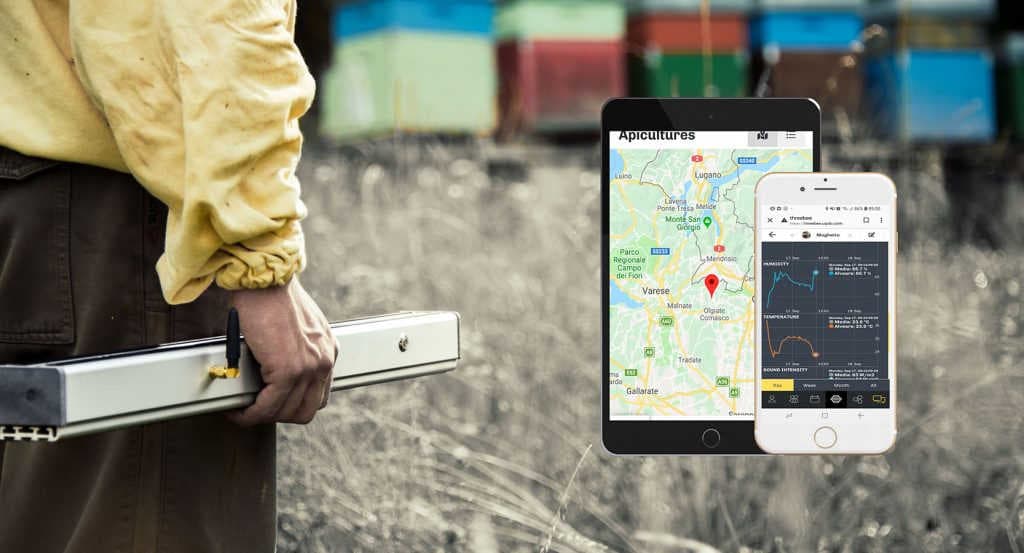 Bilancia per alveari e Web App