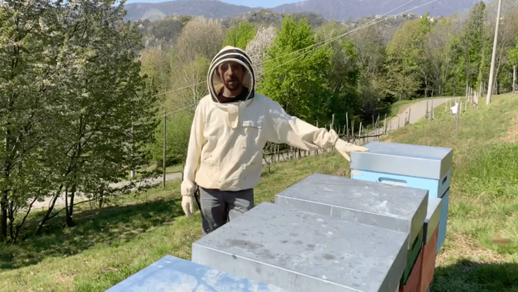 Discover the beekeepers