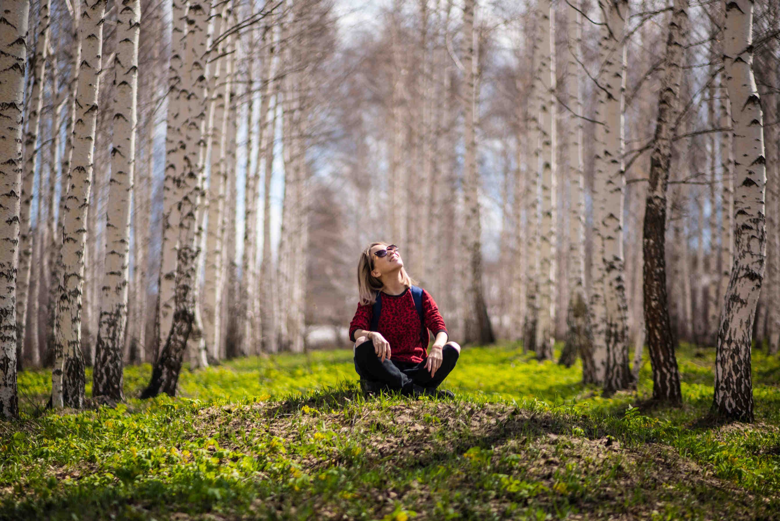 3Bee economia nature restoration law