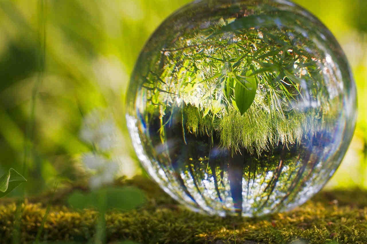 Effetti sull'ambiente