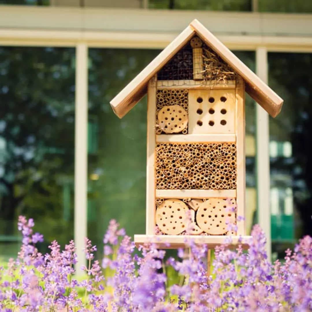 Biodiversitätsabenteuer: Schütze Bestäuber mit 3Bee