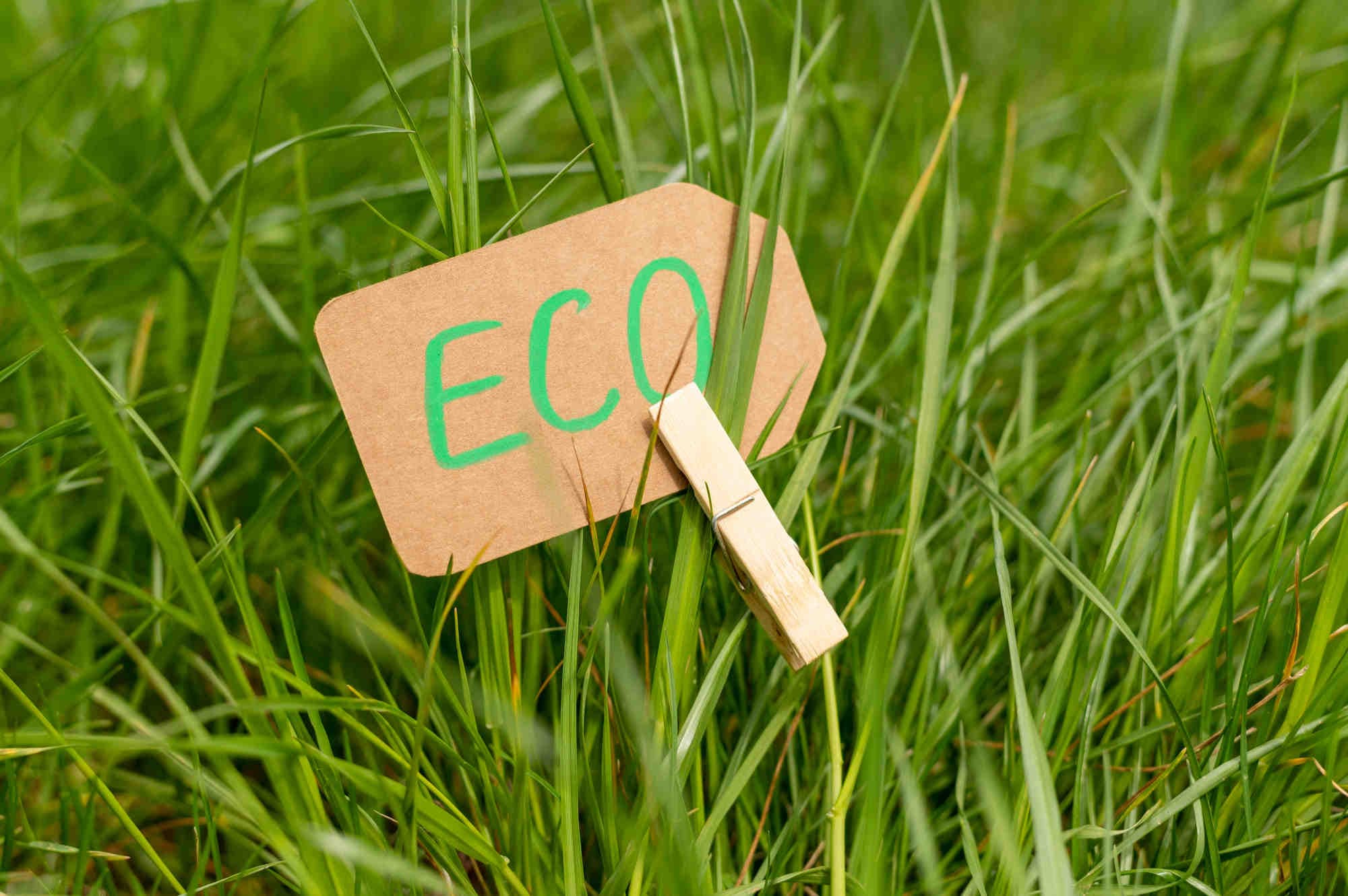 Greenwashing eco