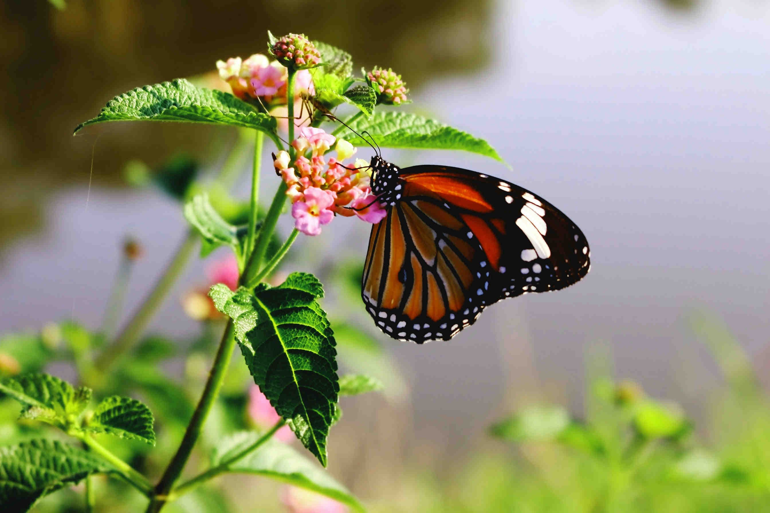 3bee-blog-data-requirements-for-certification