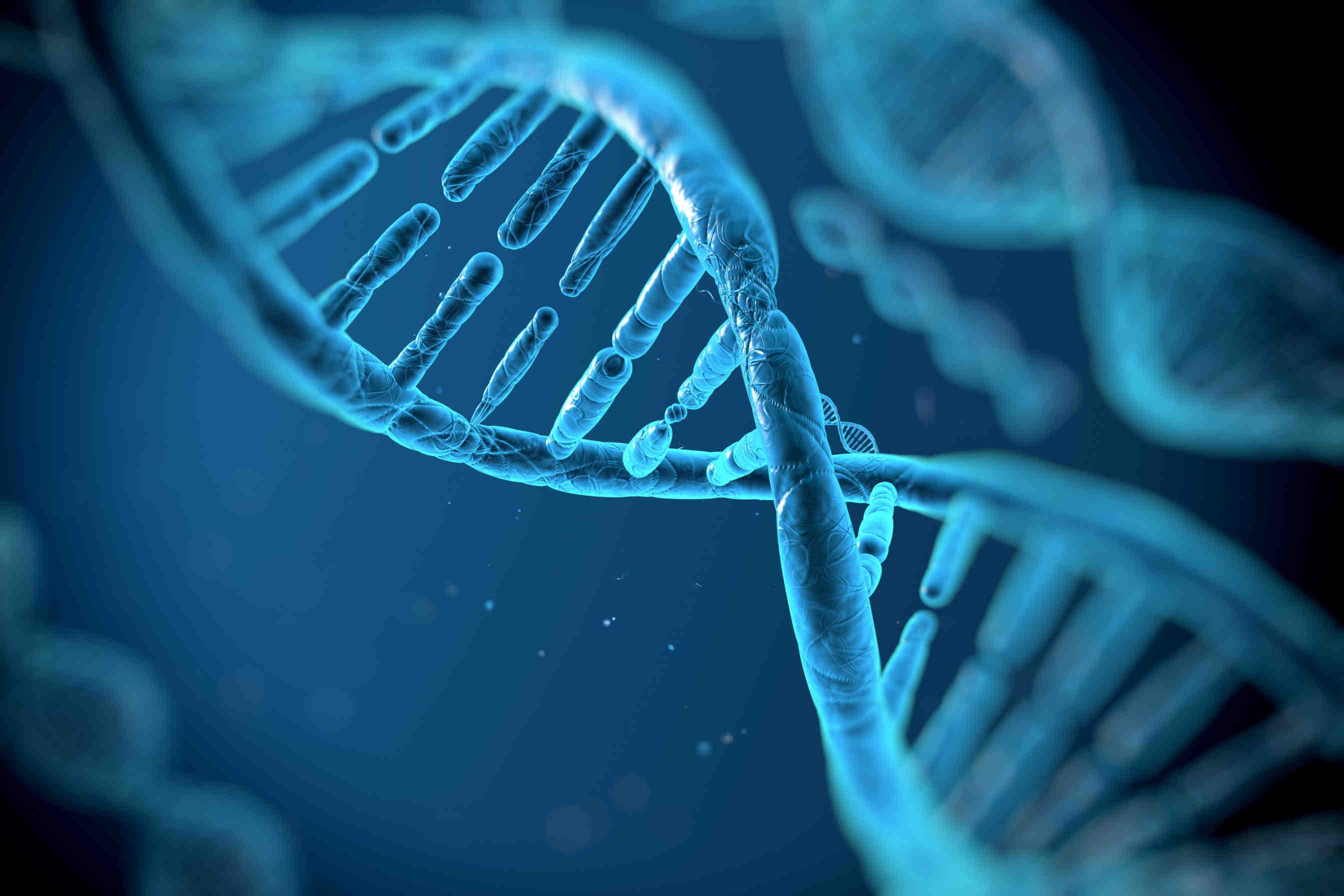 Biodiversità: che cos’è la diversità genetica?
