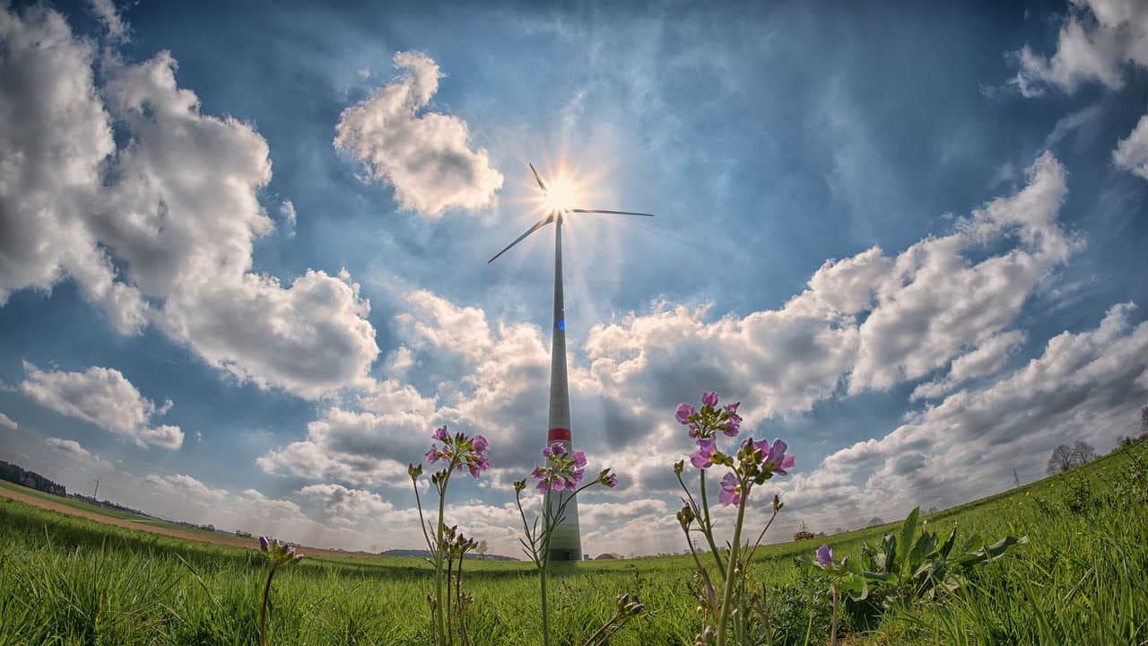 3Bee tecnologie fotovoltaico