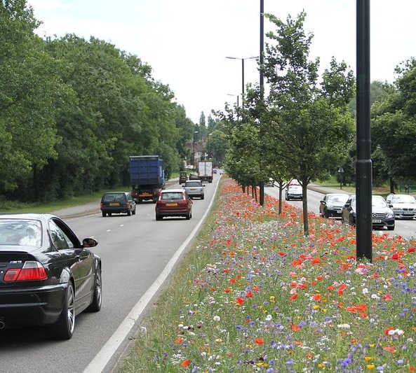Flower strip