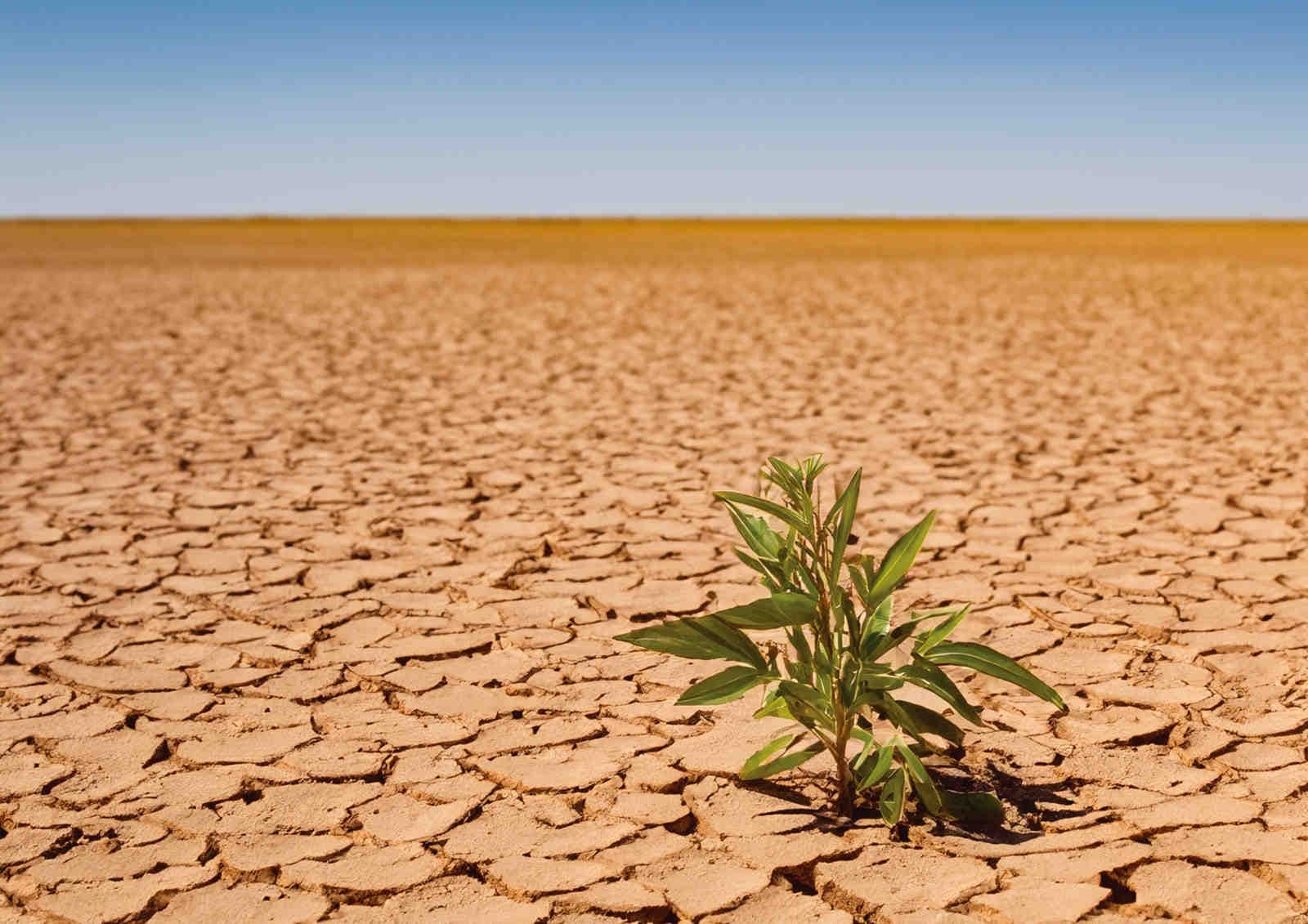 Un’estate all’insegna della siccità e del caldo persistente