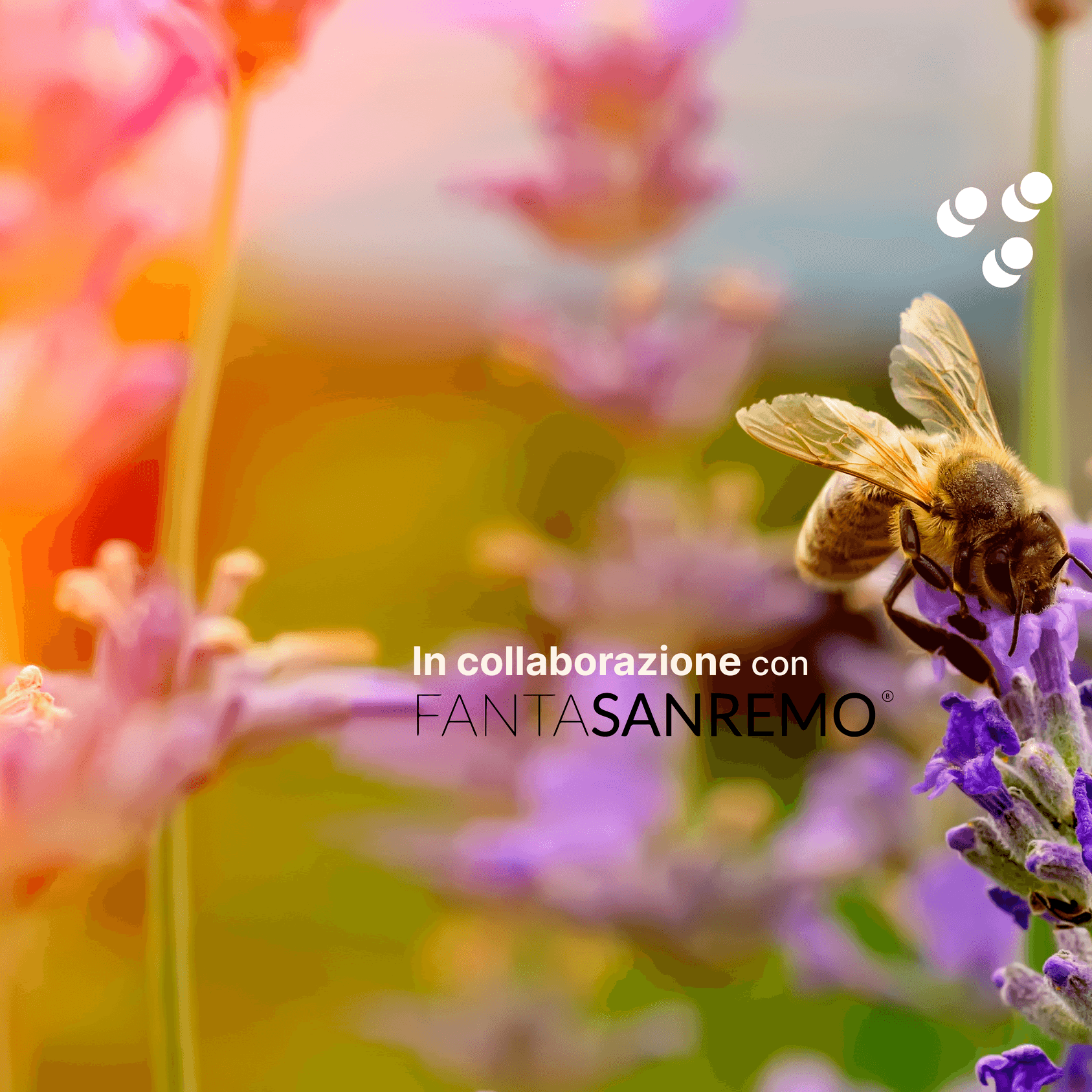FantaSanremo 3Bee