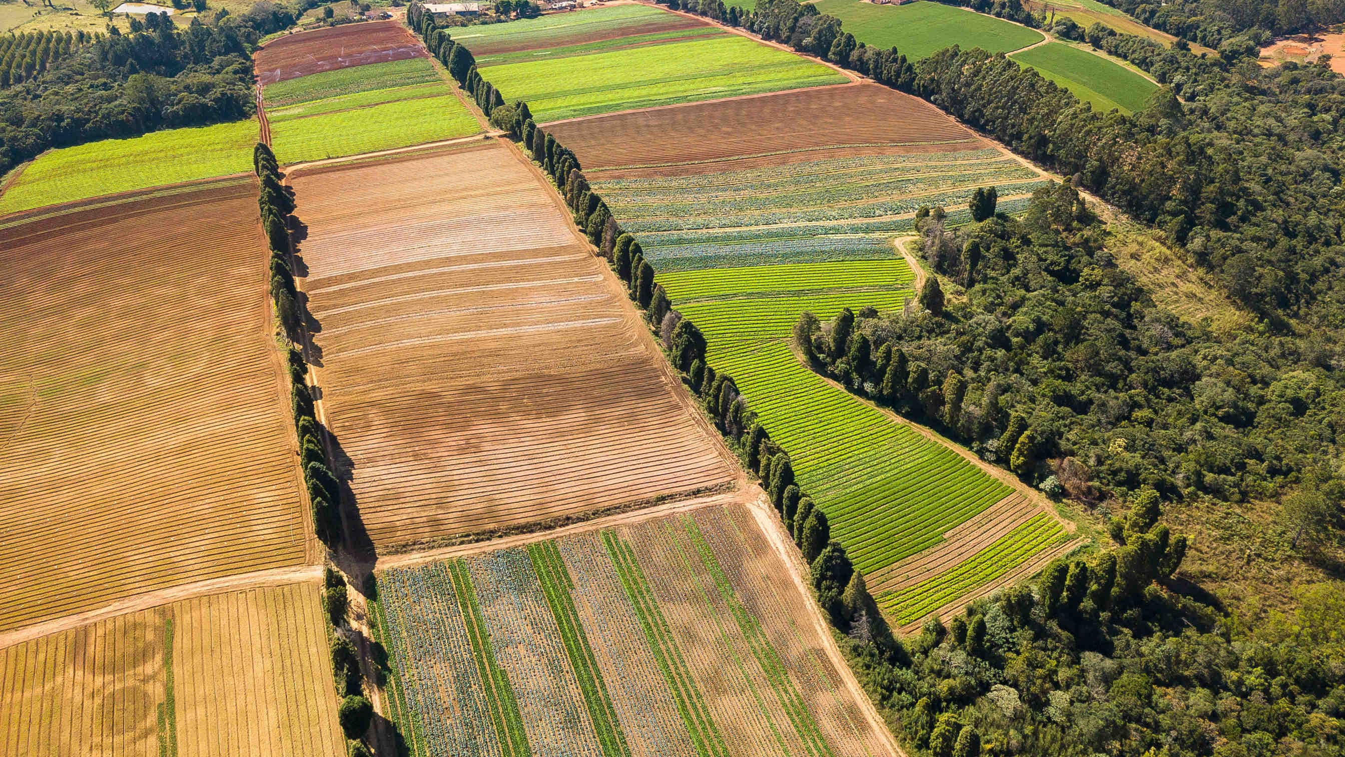 L’impatto dell’Oasi della Biodiversità di Gruppo Finmatica