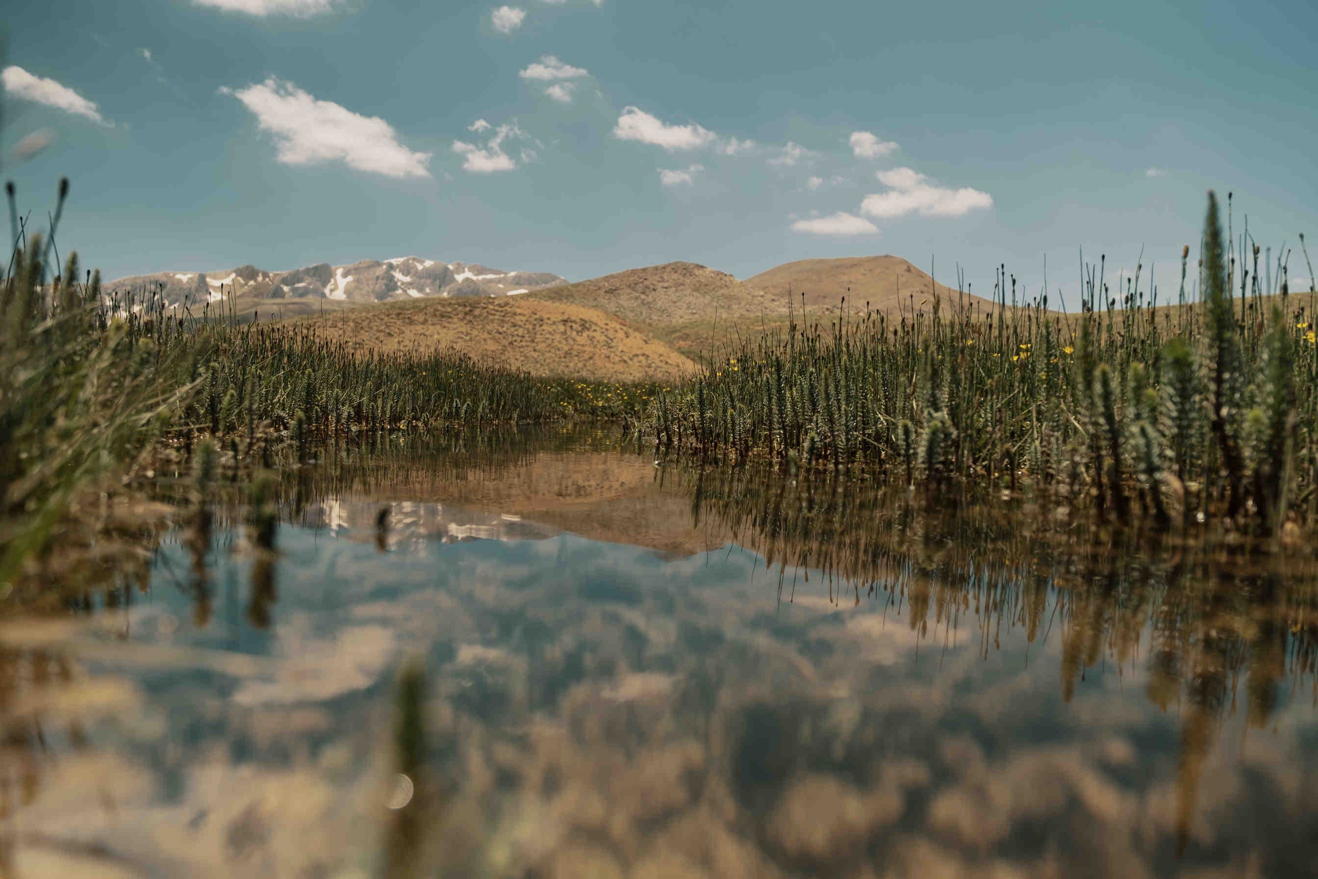 zona umida montagna