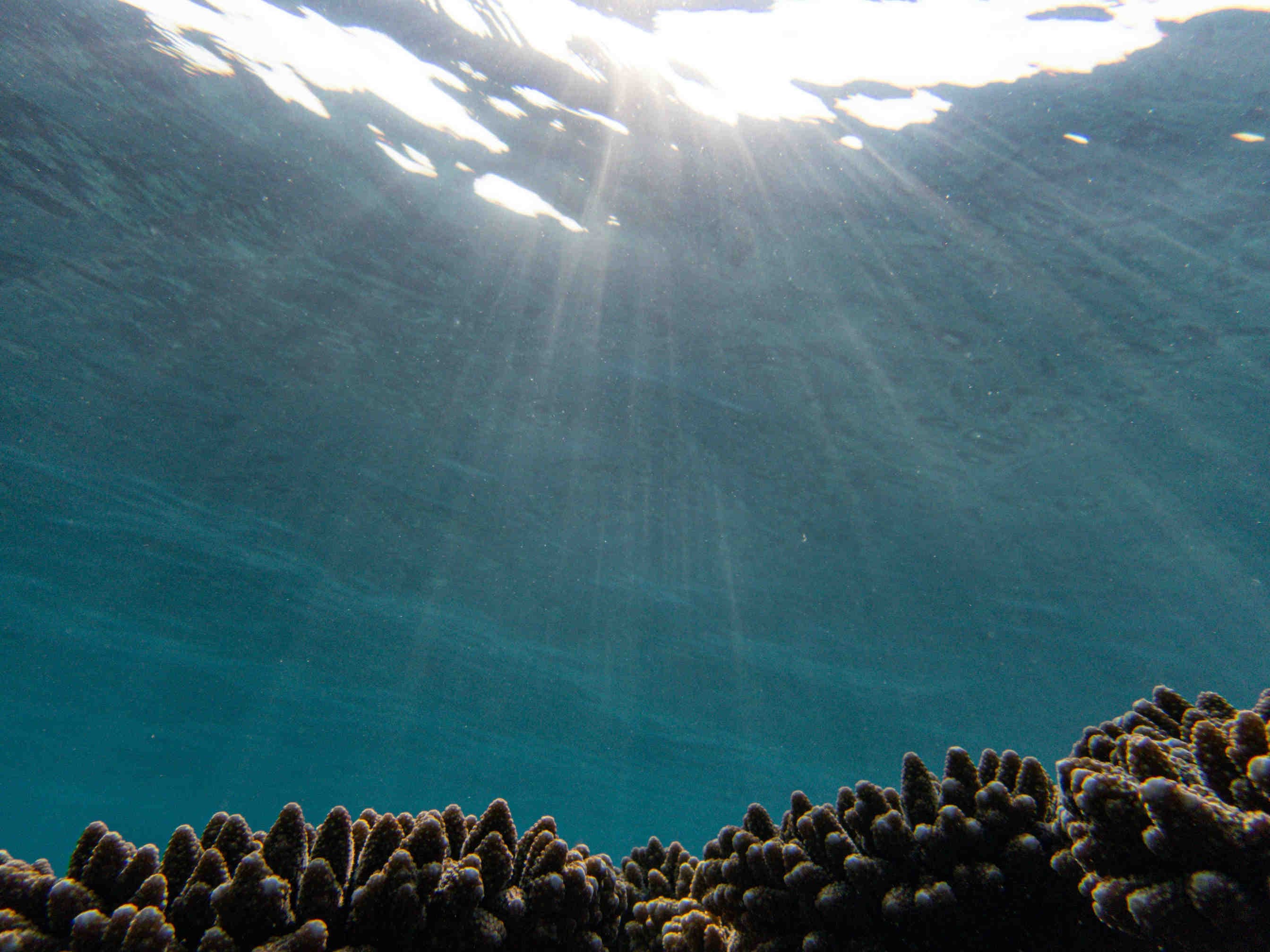 settimo limite acidificazione degli oceani