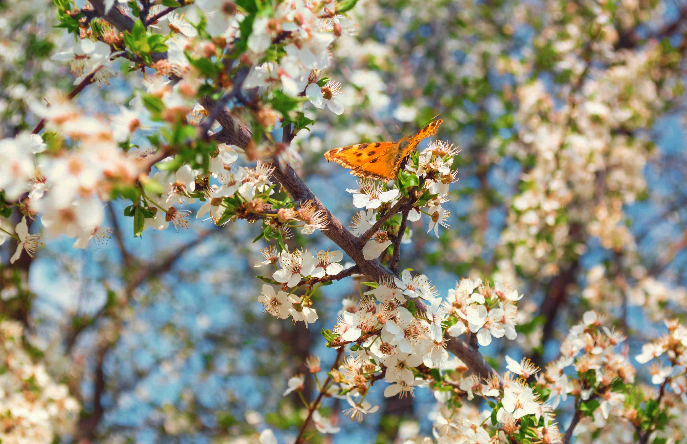 Compromiso de 3Bee con el Día Nacional del Árbol