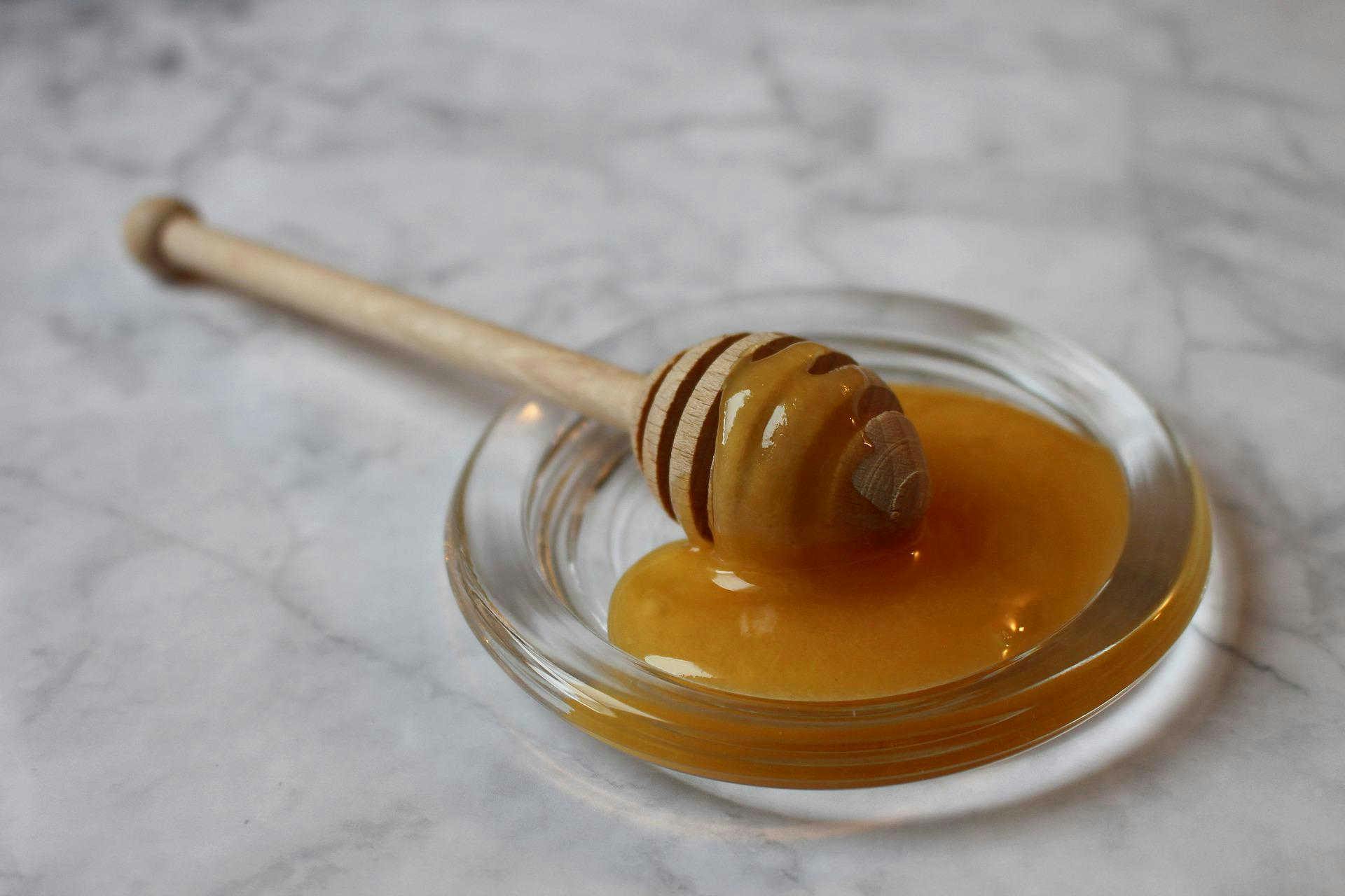 Benefici del miele di sulla