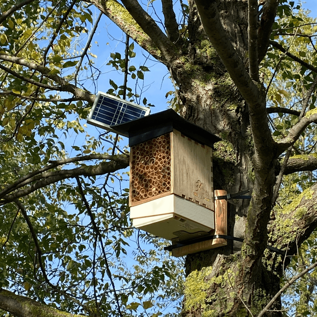 Introduzione all'Oasi della Biodiversità