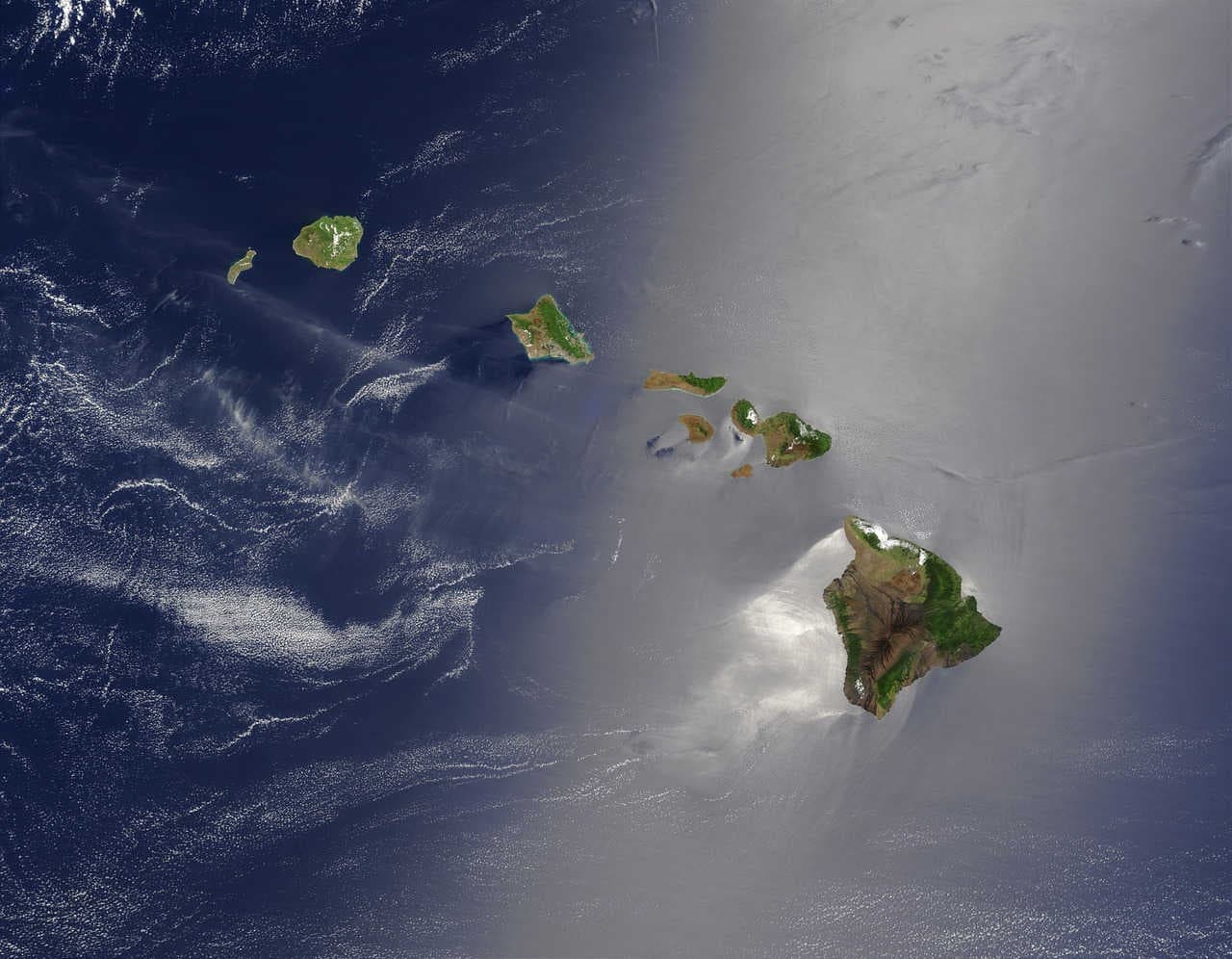 Island biogeography