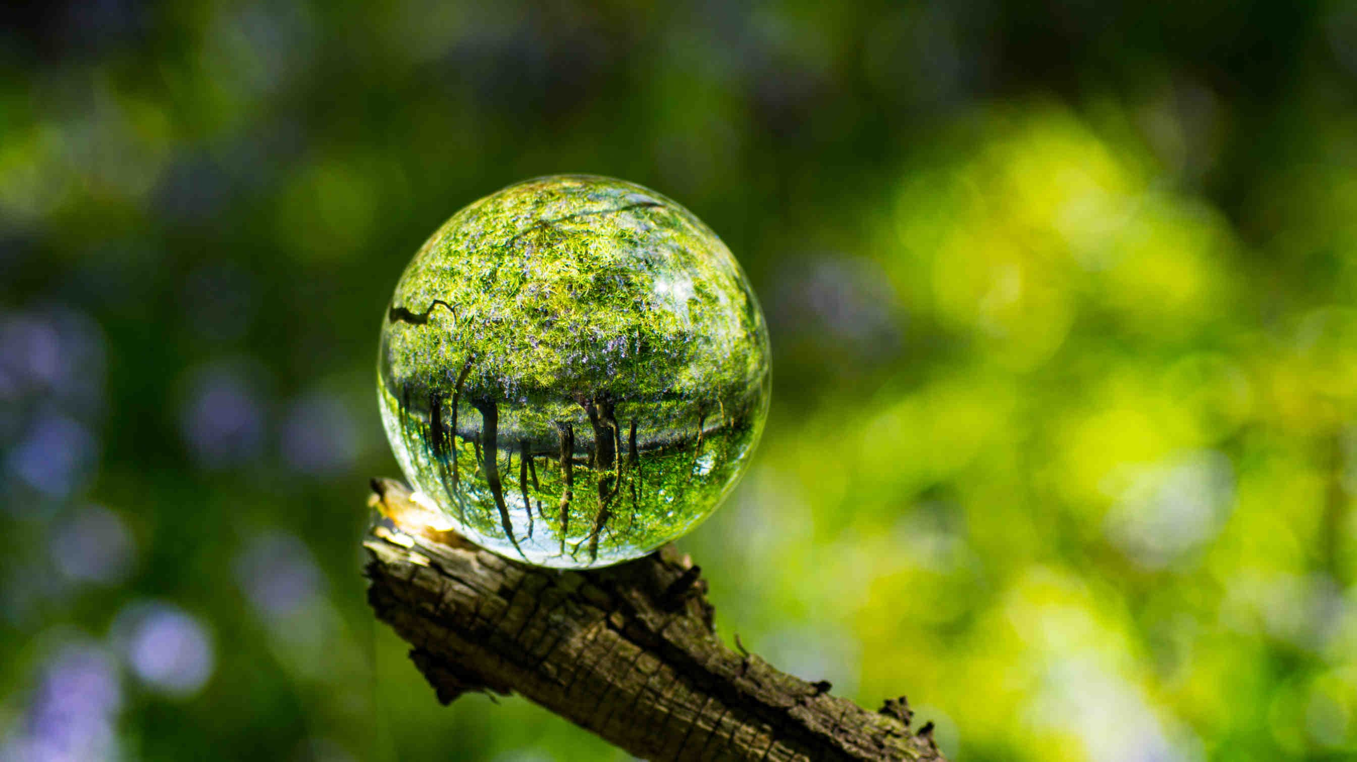 biodiversità