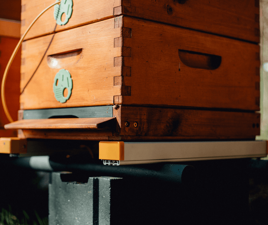 3Bee devices for better bee management