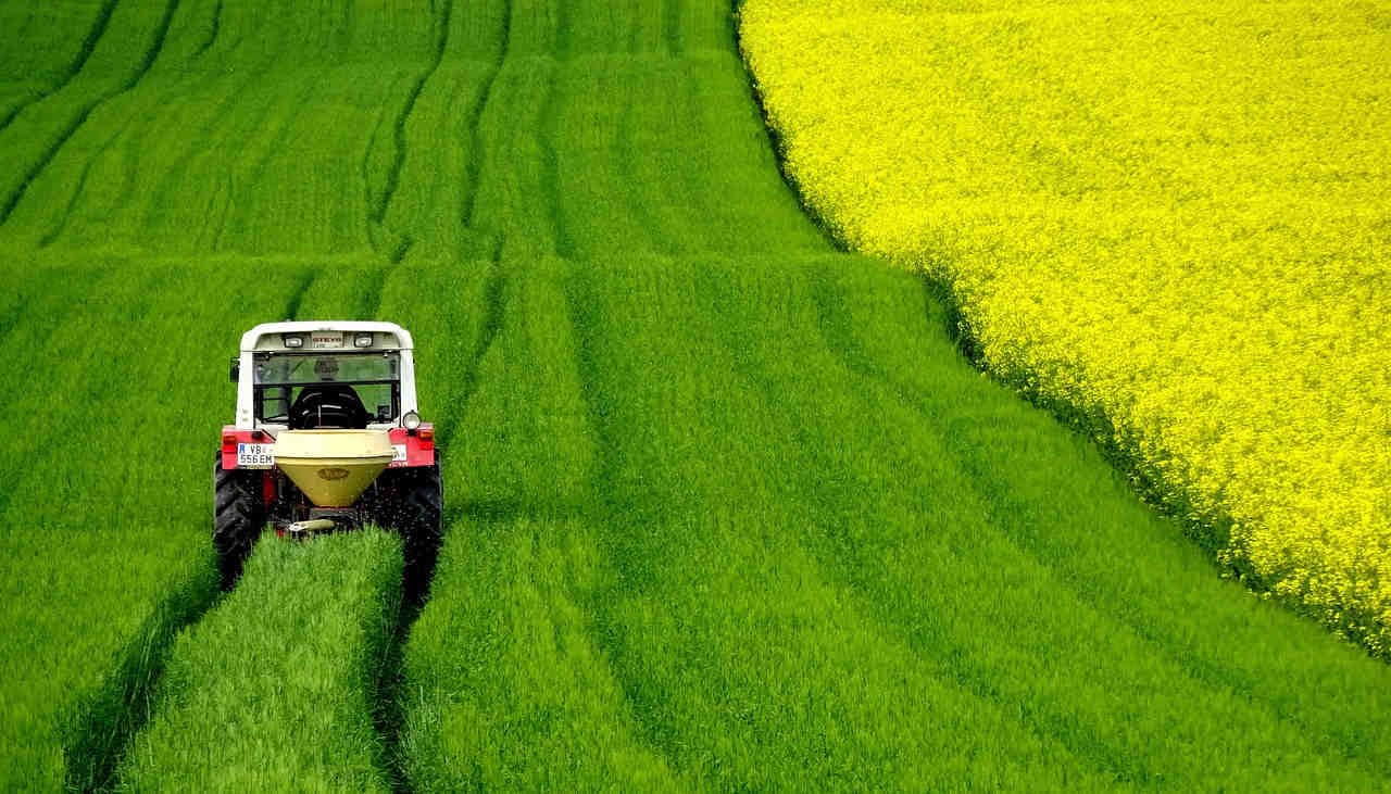 danni all'agricoltura da parte delle cocciniglie