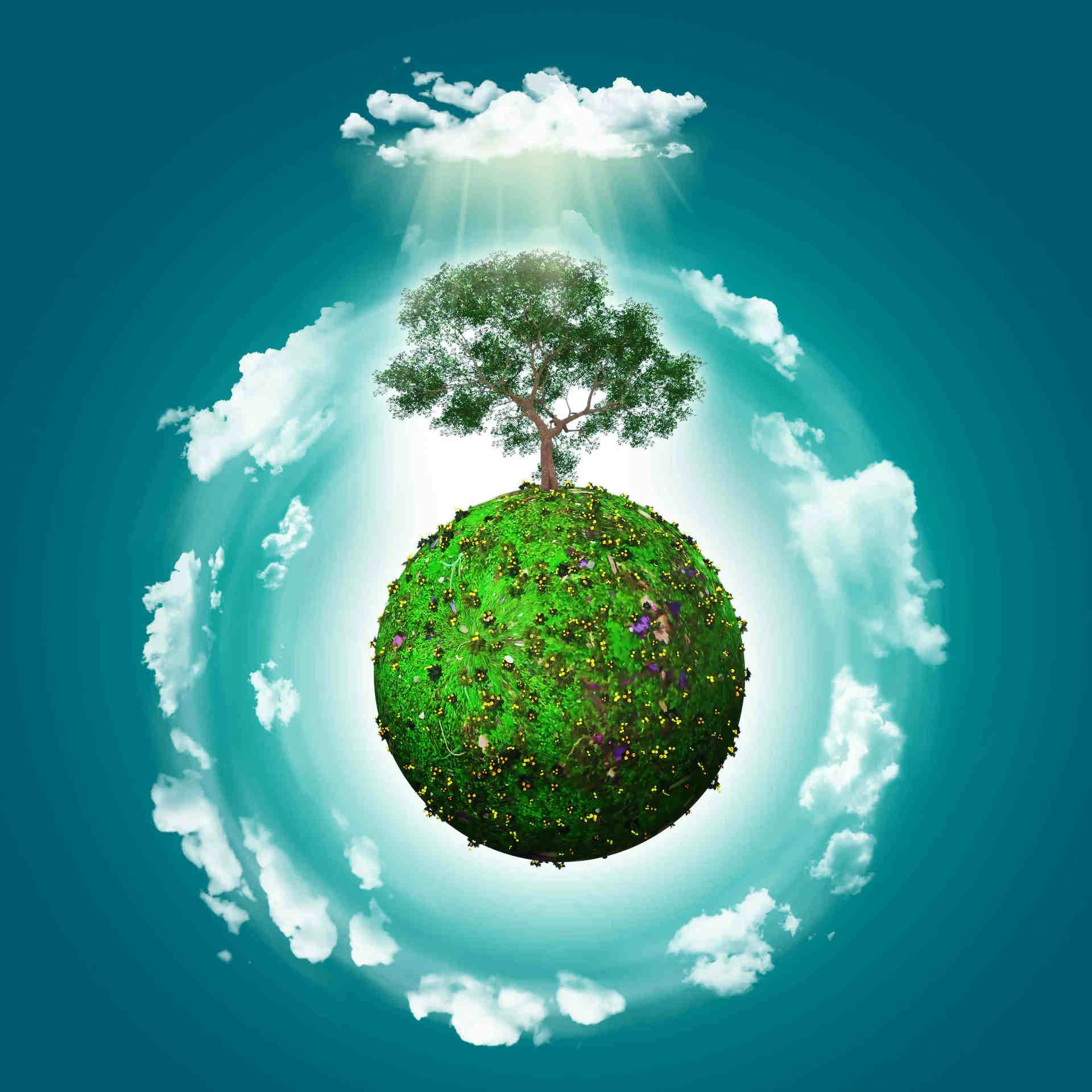 Journée mondiale de l'environnement 2023