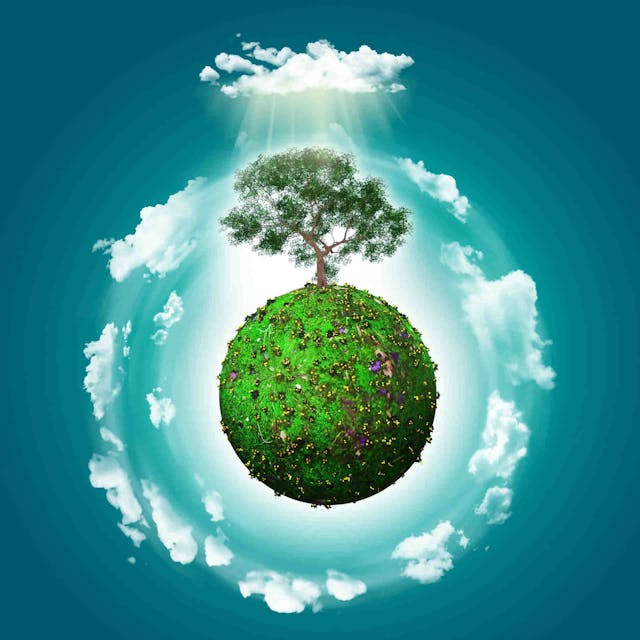Journée mondiale de l'environnement 2023