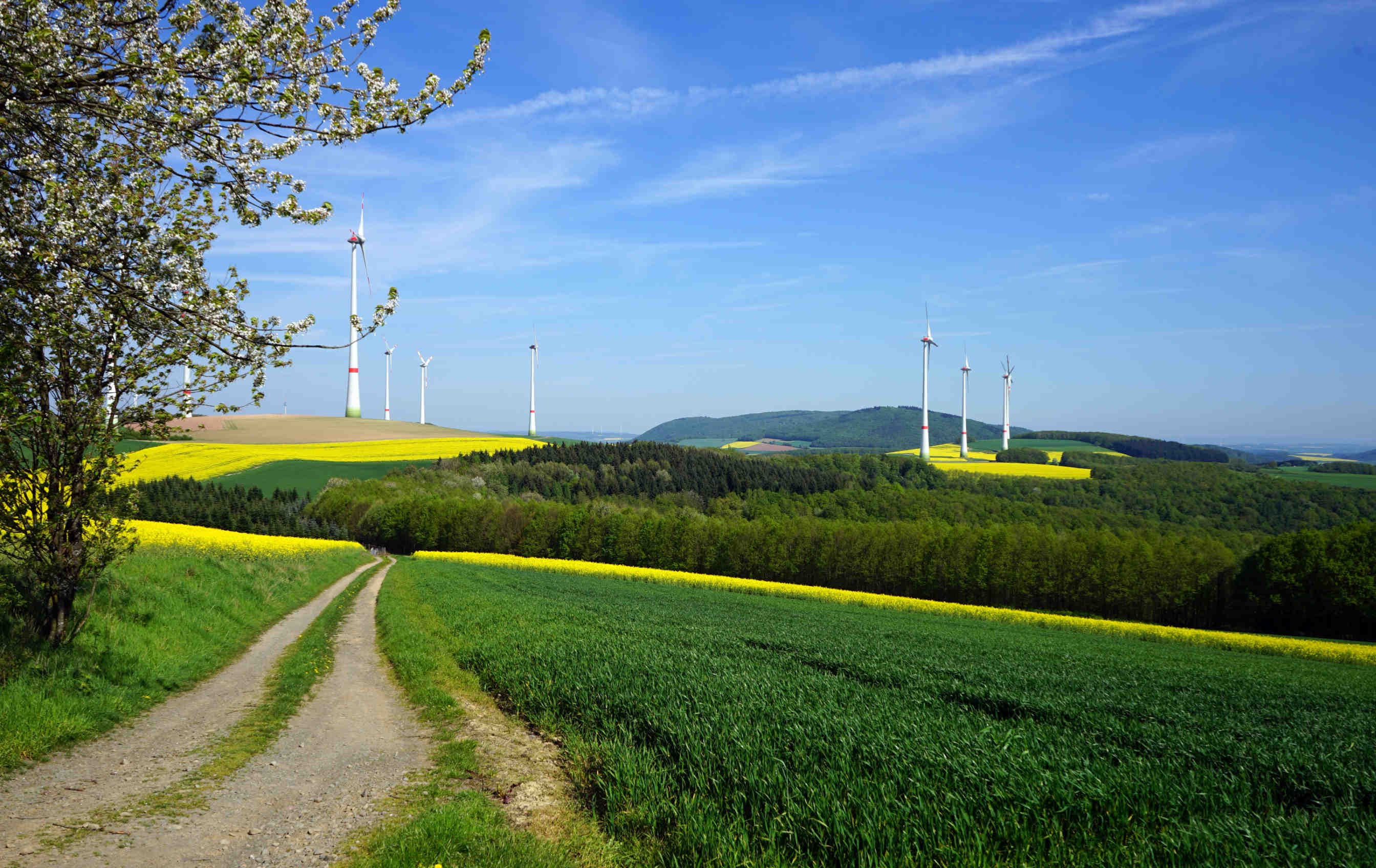 Nature restoration Law Windenergie 3Bee