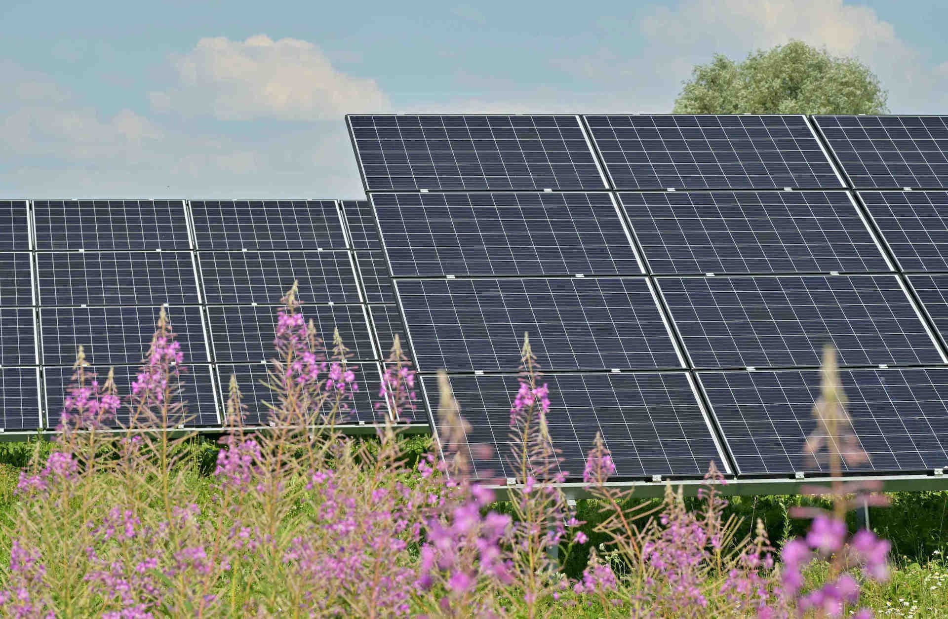 Les bonnes pratiques de 3Bee en matière de photovoltaïque