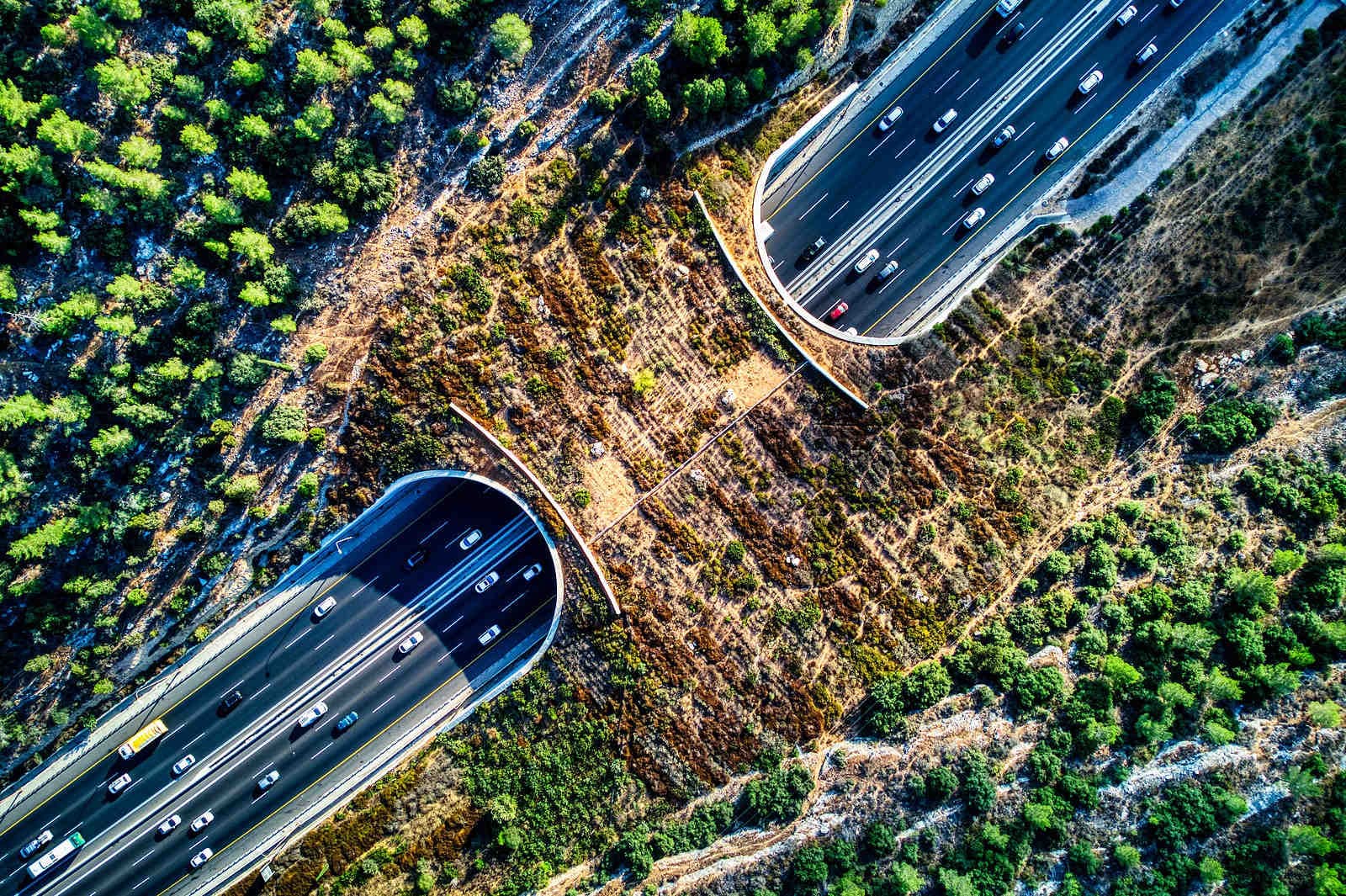 Wildlife_Crossing by Hagai Agmon-Snir