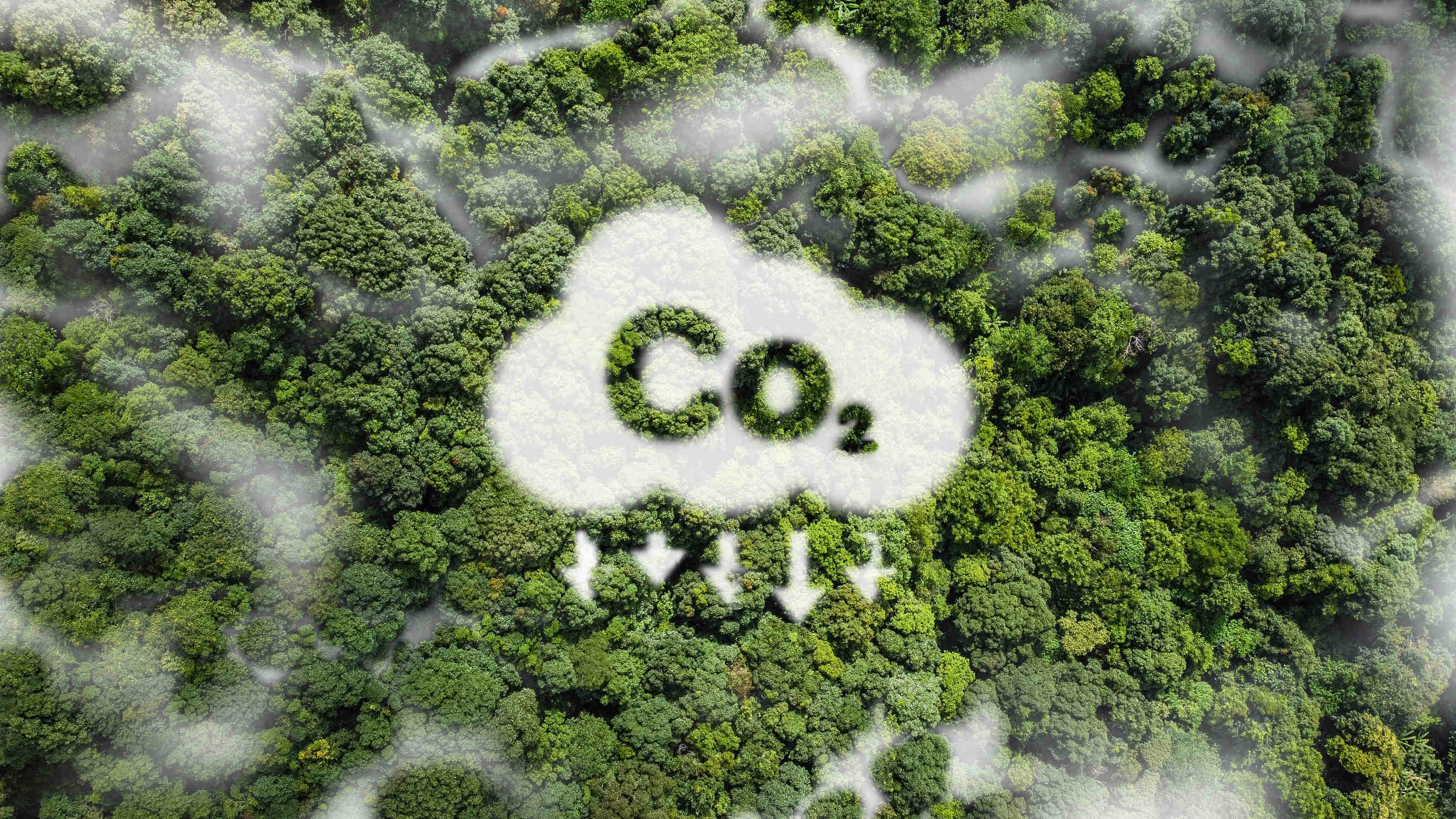 Crediti di carbonio: cosa sono, vantaggi e criticità