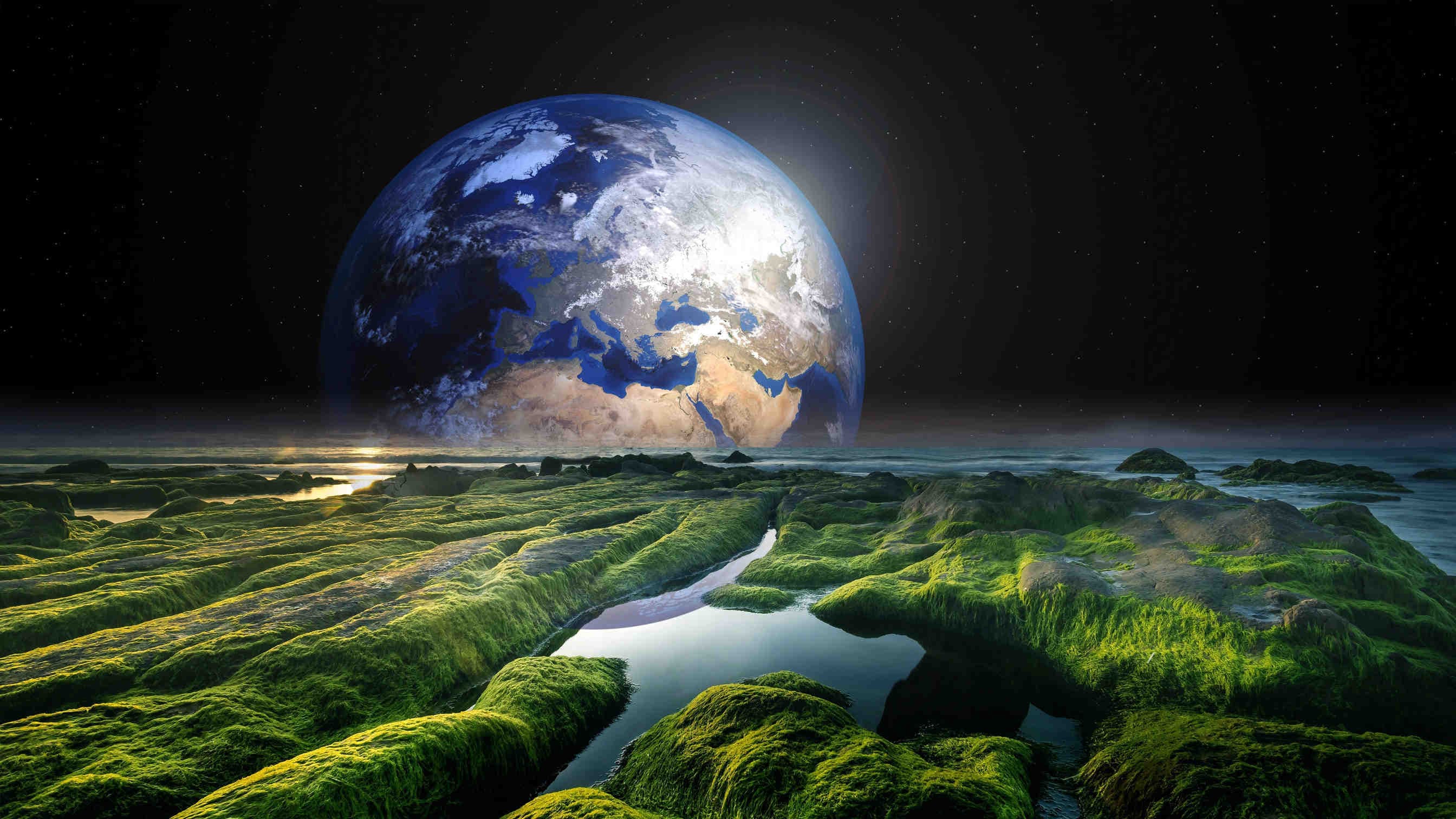 3bee-blog-la-storia-della-giornata-della-terra