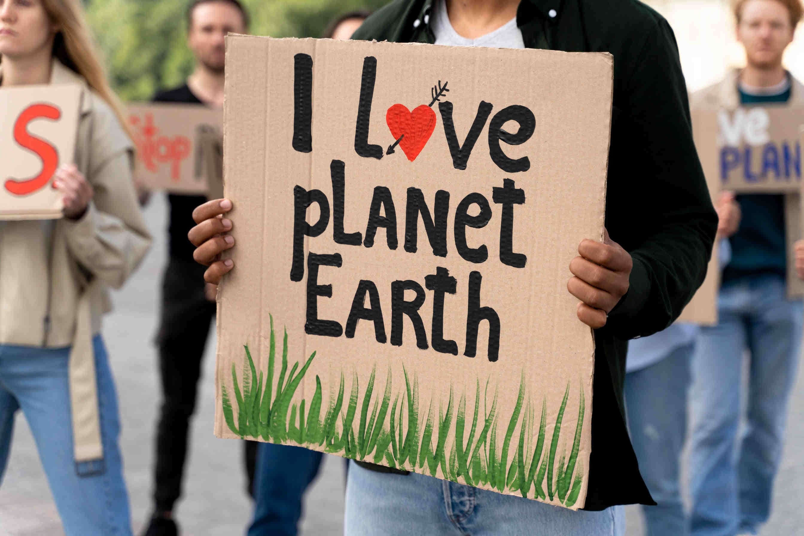 COP29