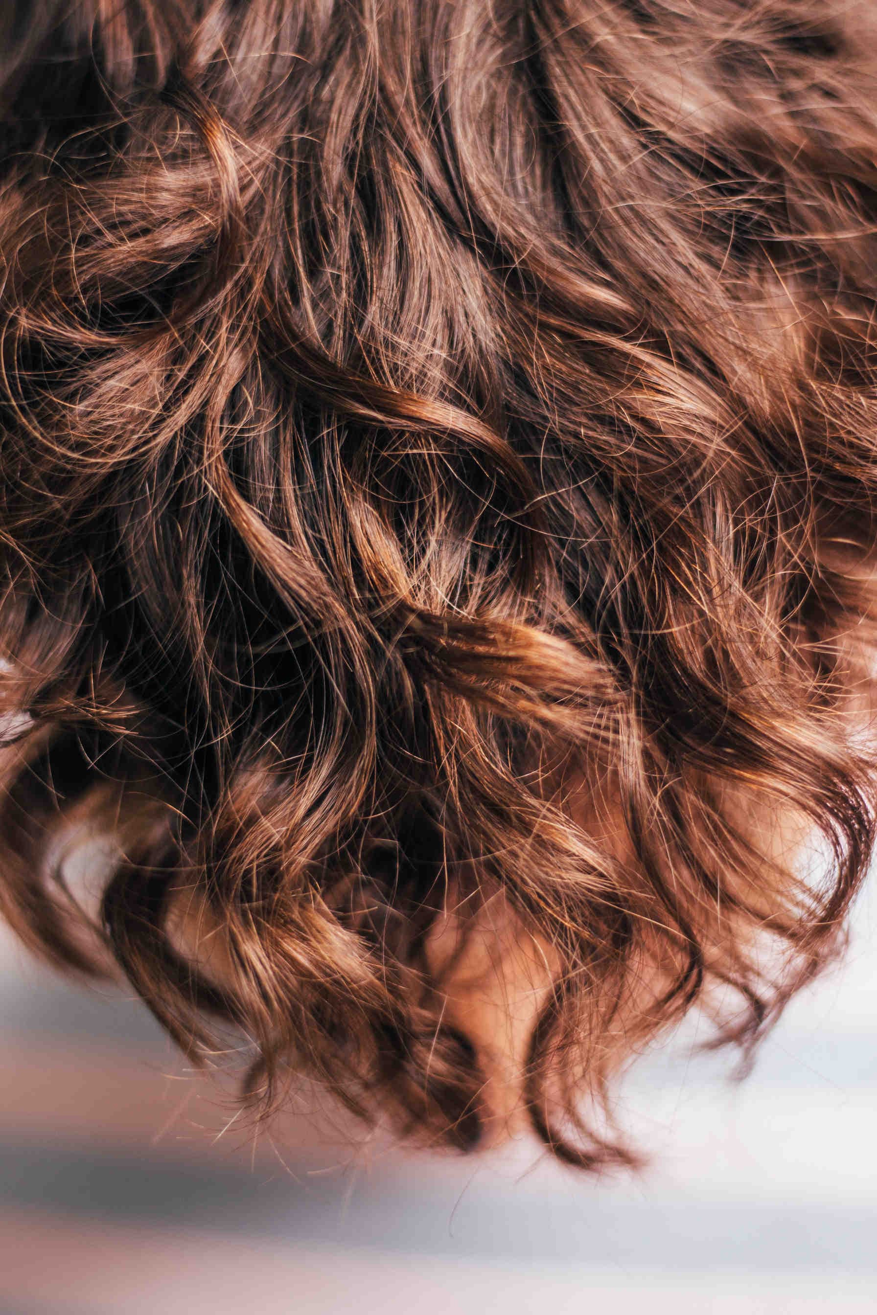 Honig und Haare