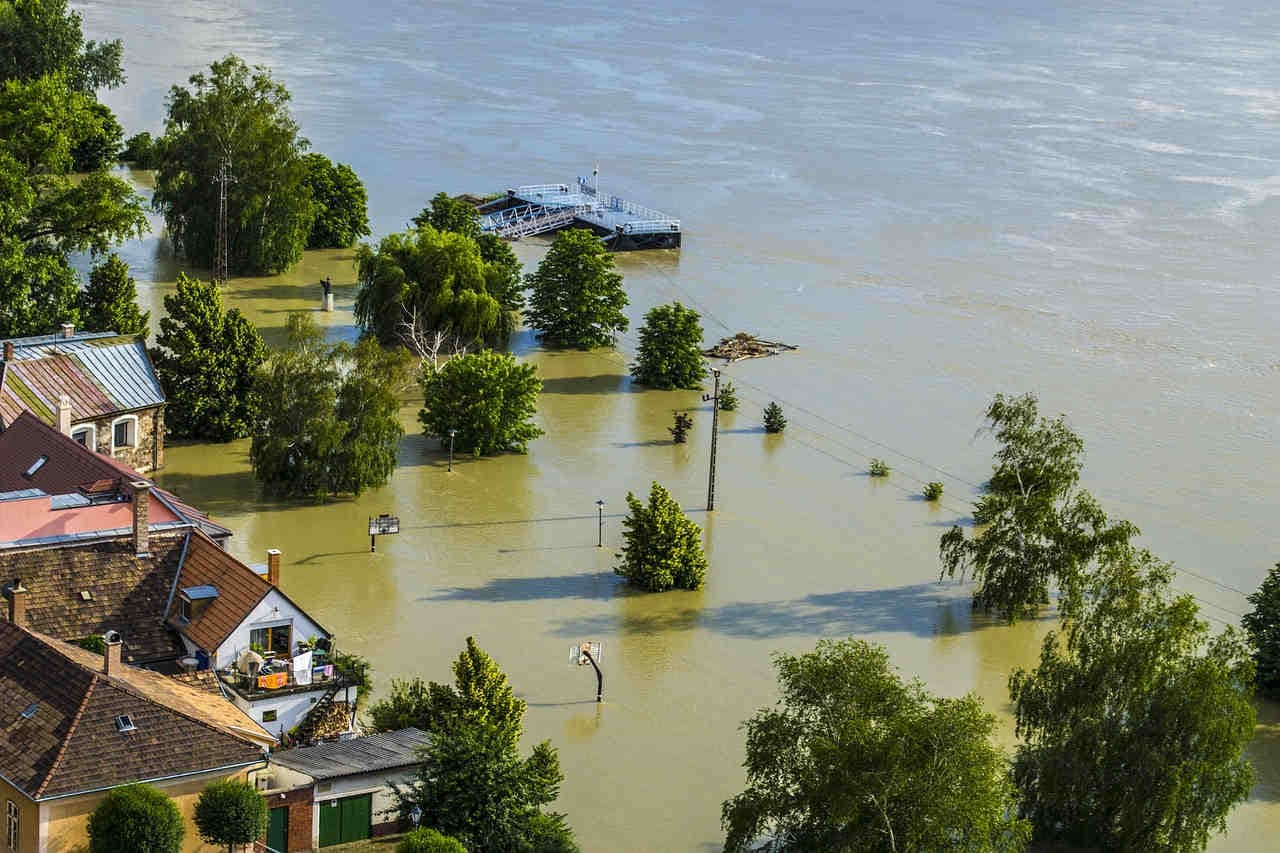 inazione climatica