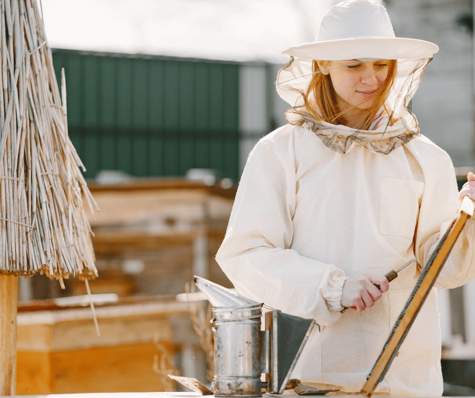 Buy Beekeeping Equipment