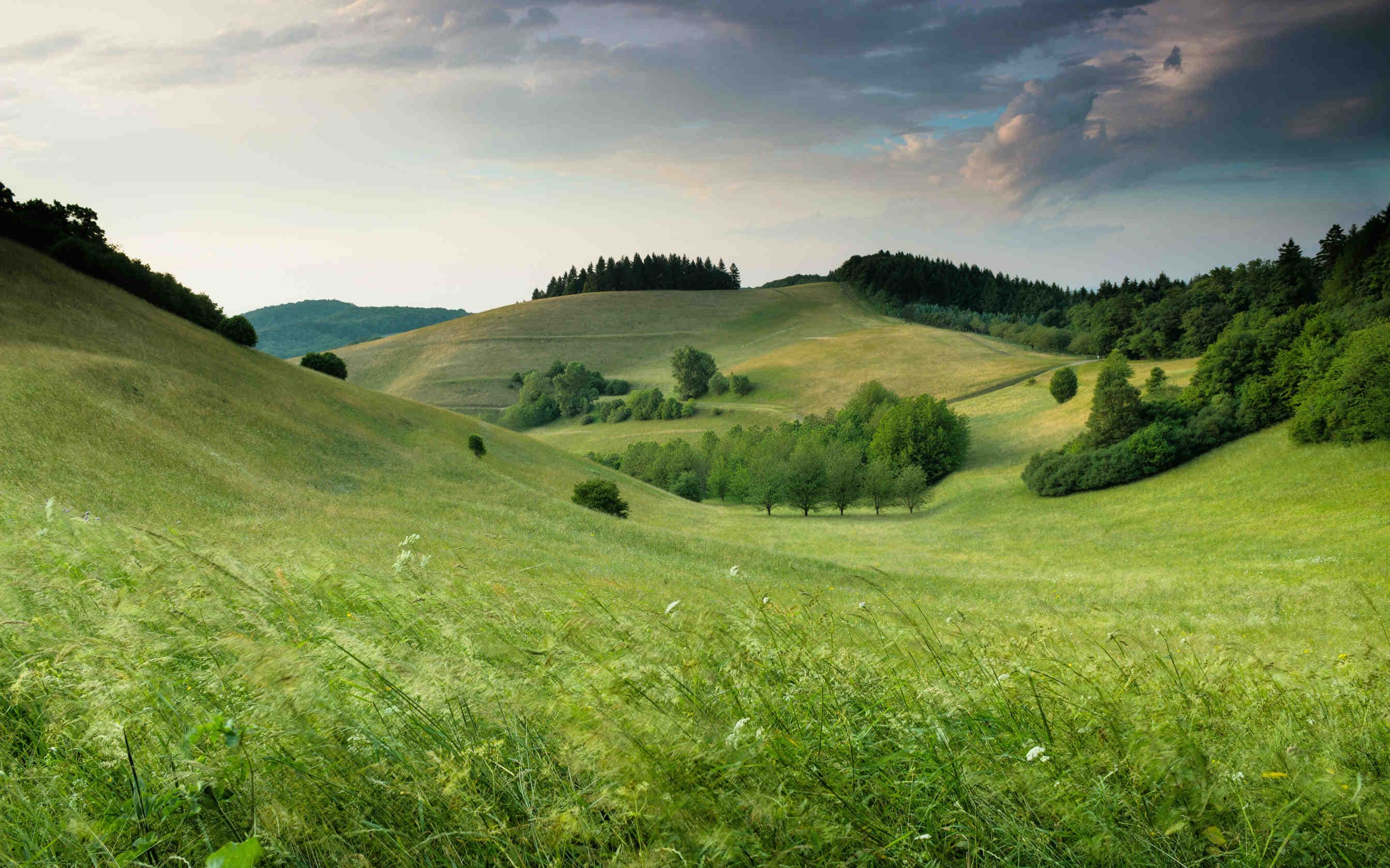 Aiutare le api per aiutare l’ambiente