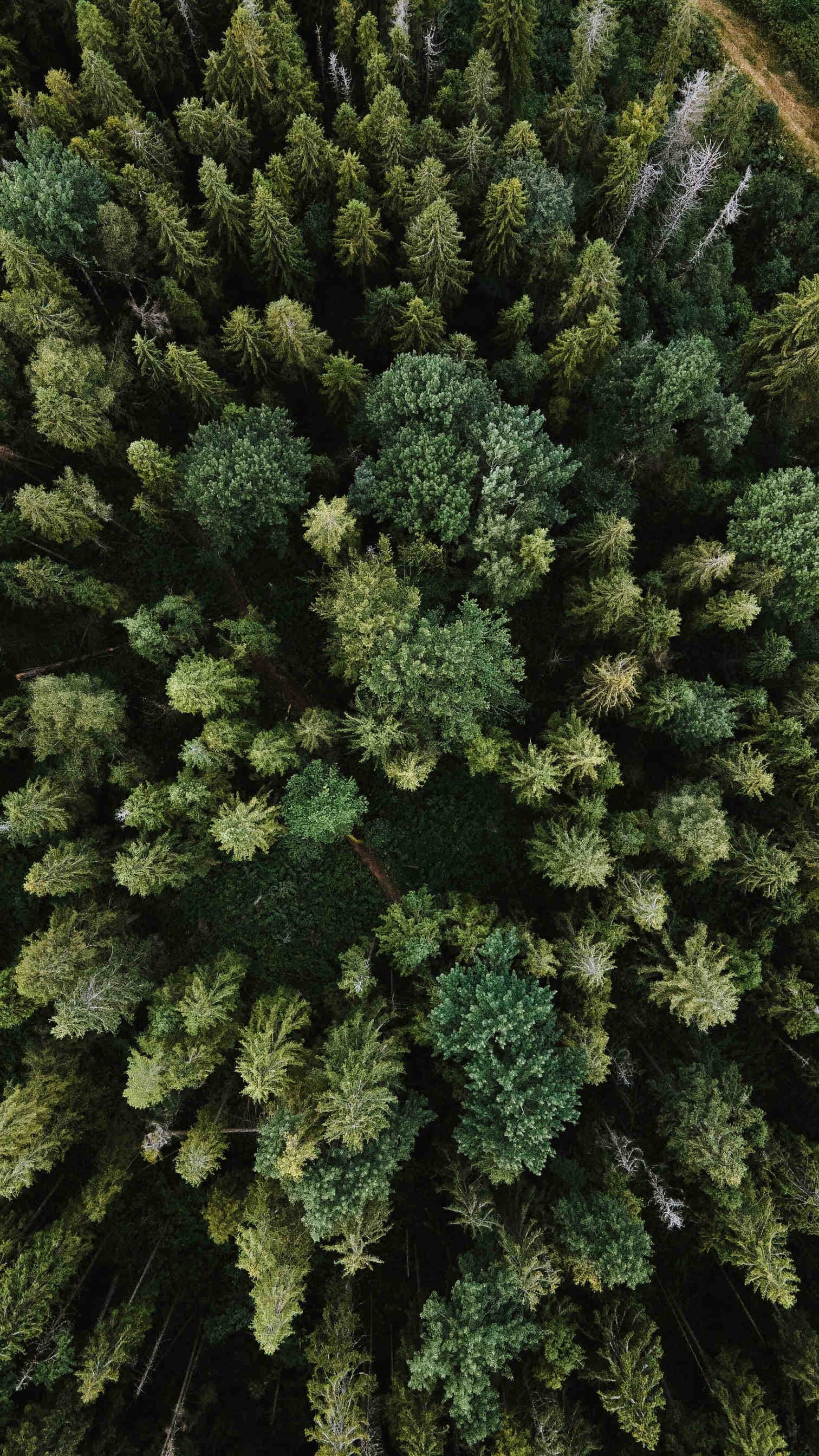 Positive effects on the environment