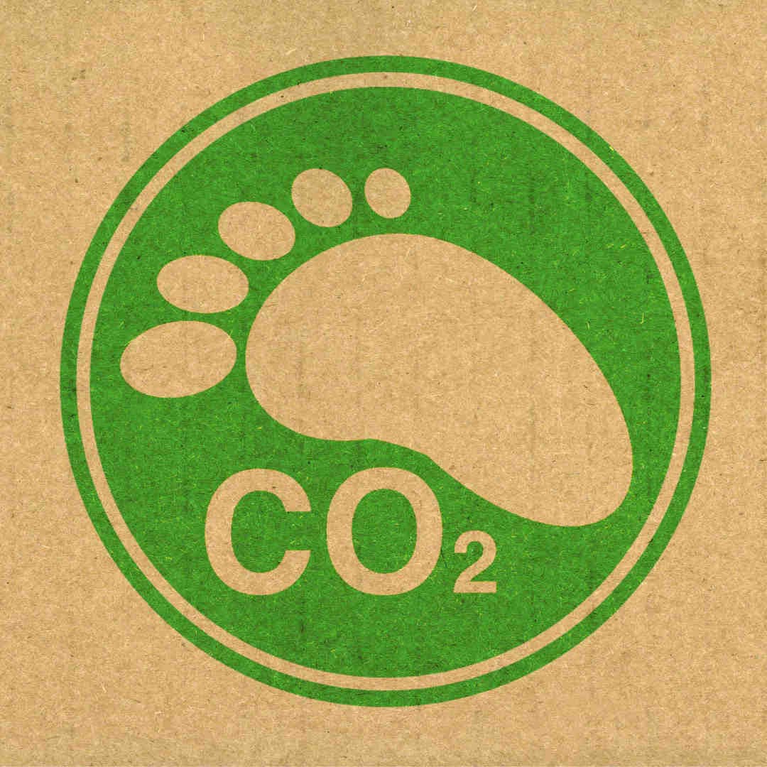 Analyse de l'impact environnemental