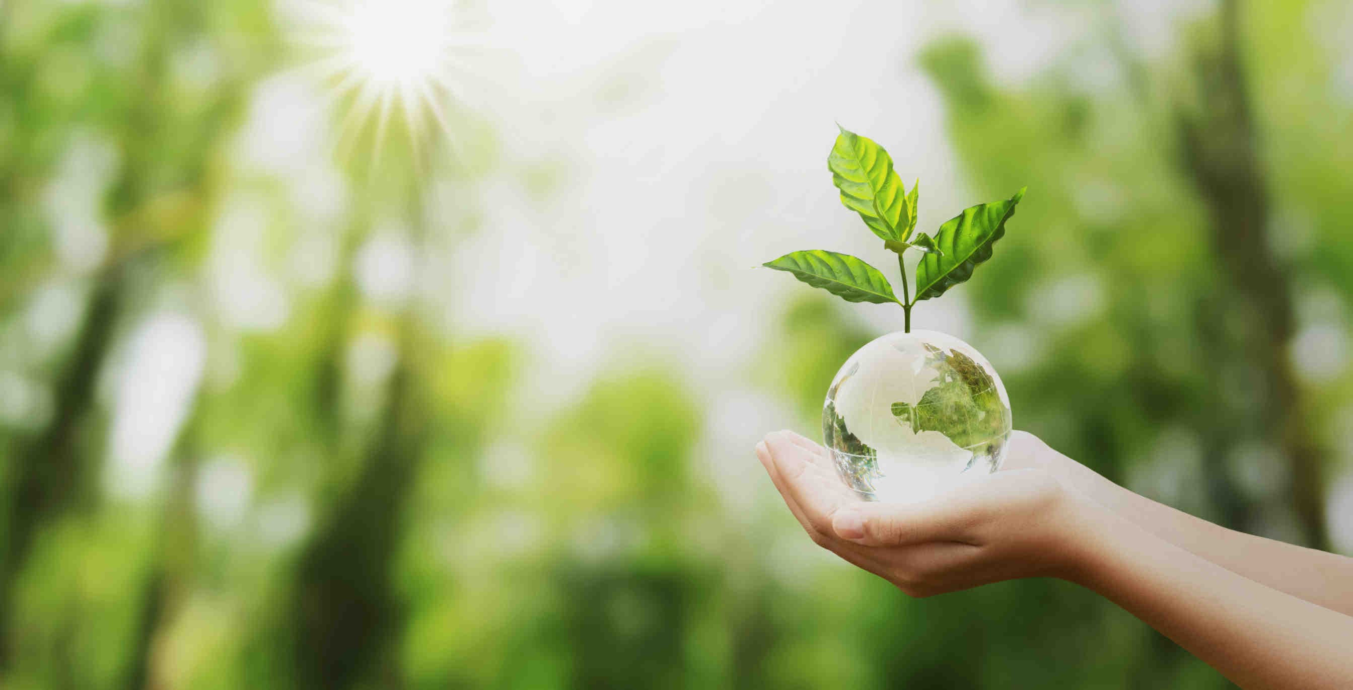 EFRAG sustainability reporting e ESRS volontario