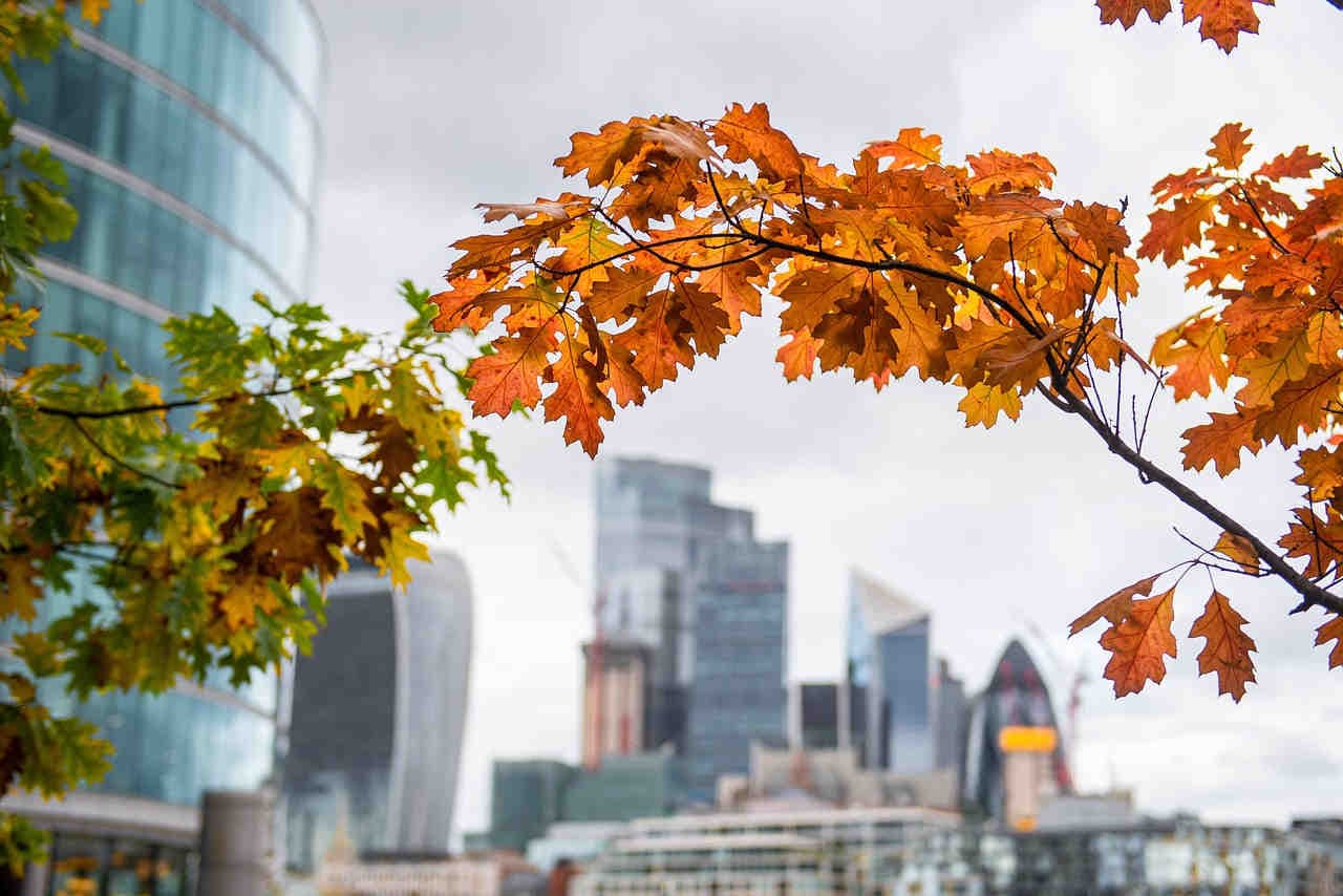 London in autumn