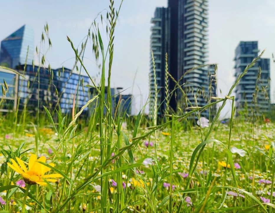 Milano