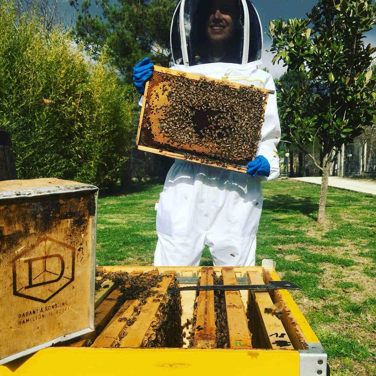apicoltrice con api in mano