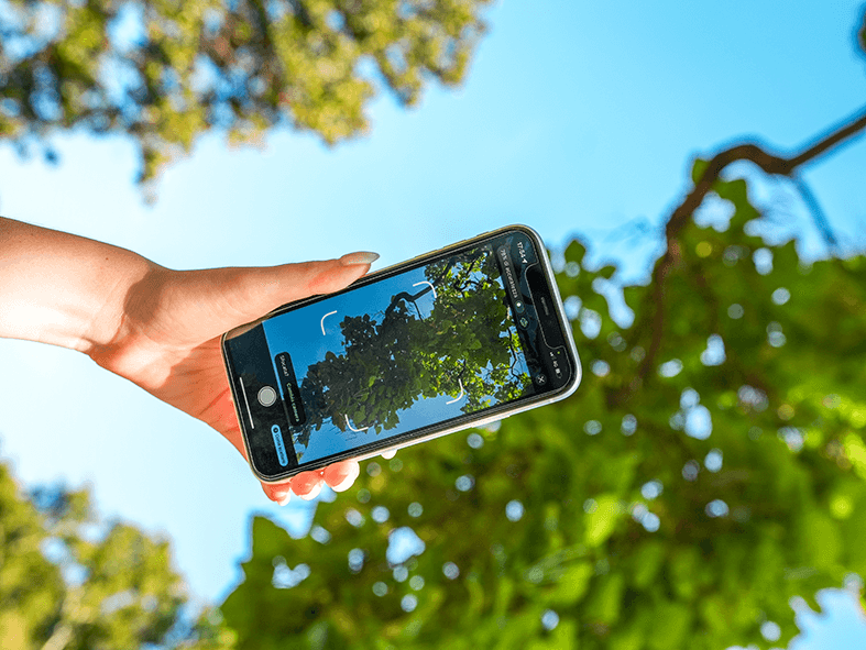 app biodiversa utilizzo