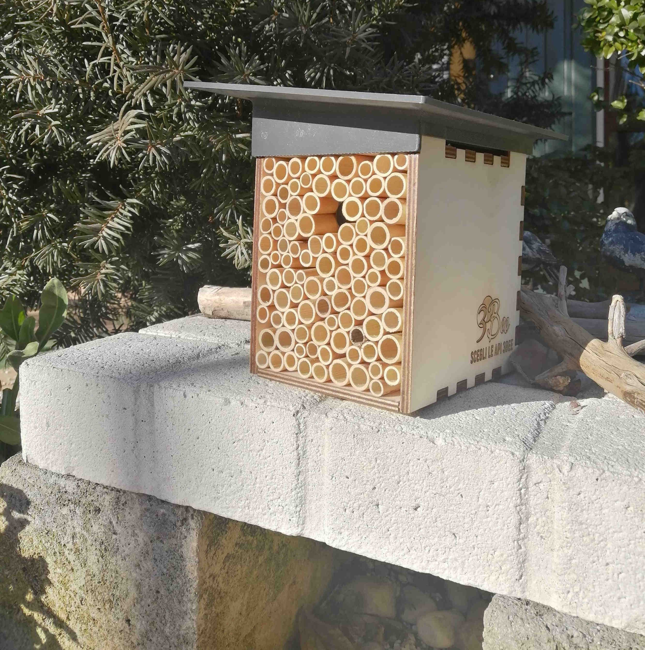 Regala un'Ape 3Bee