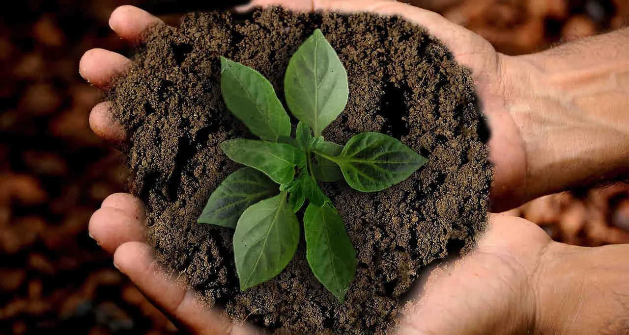 SDG Goal 8: Decent work and sustainable growth