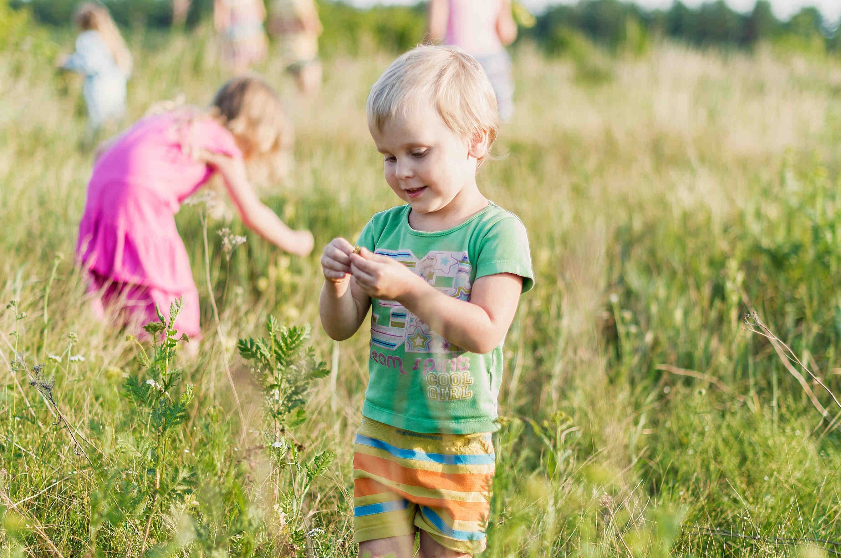 Spiele Kinder 3Bee Biodiversität