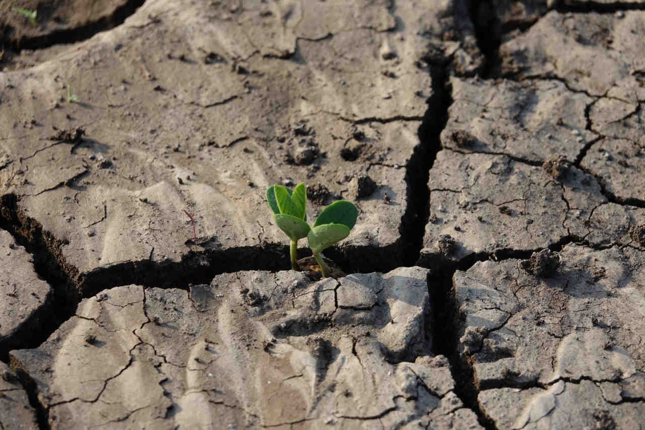 Azione climatica: principali ostacoli e soluzioni