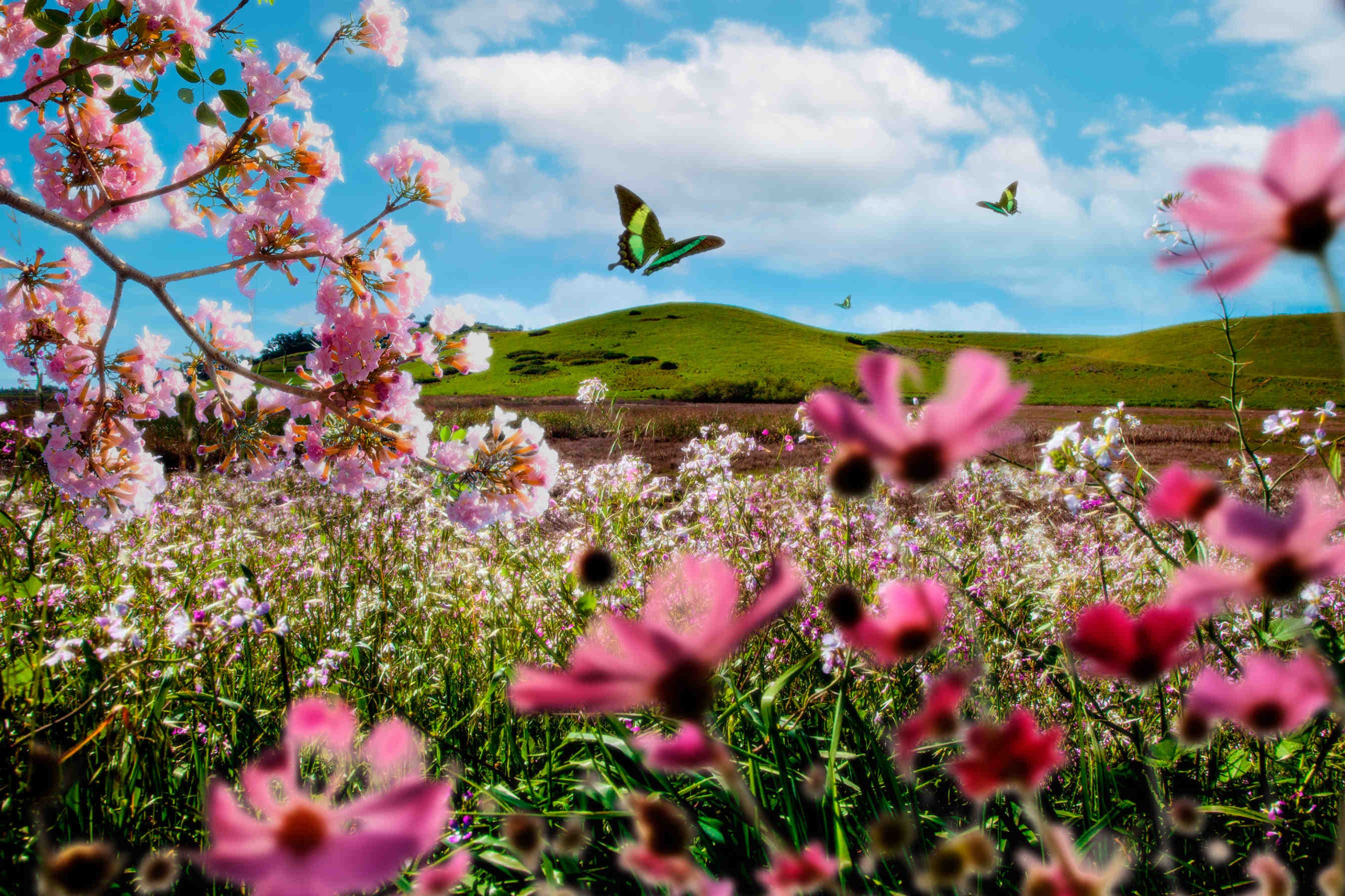 Oasi 3Bee: come rigenerare la biodiversità